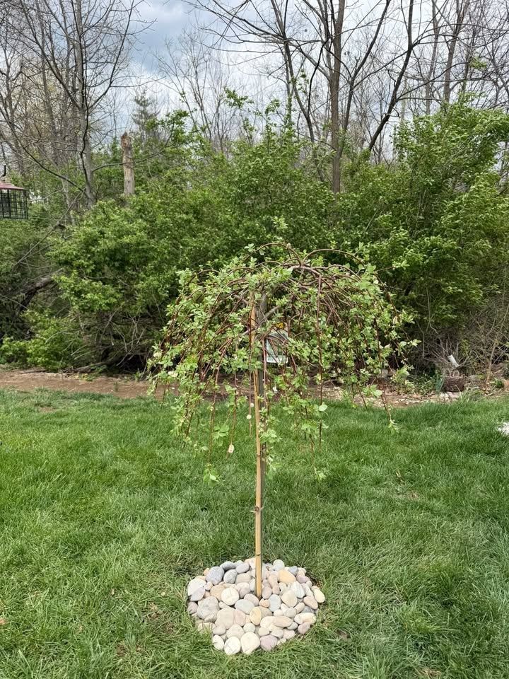 All Photos for Gullion’s Lawn and Landscaping in DeMossville, KY