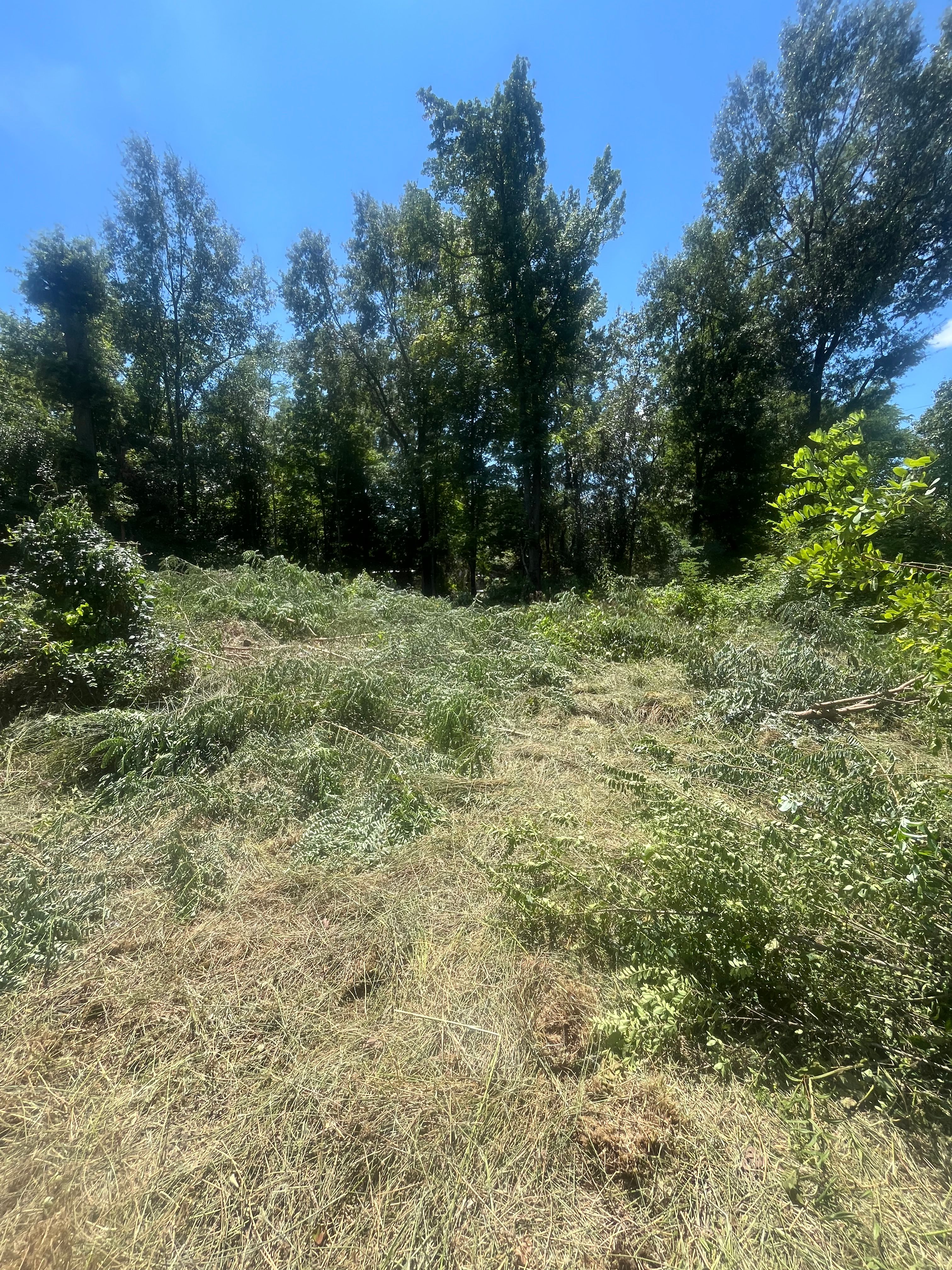  for Ricky's Tree Service & Property Care in Orange, VA