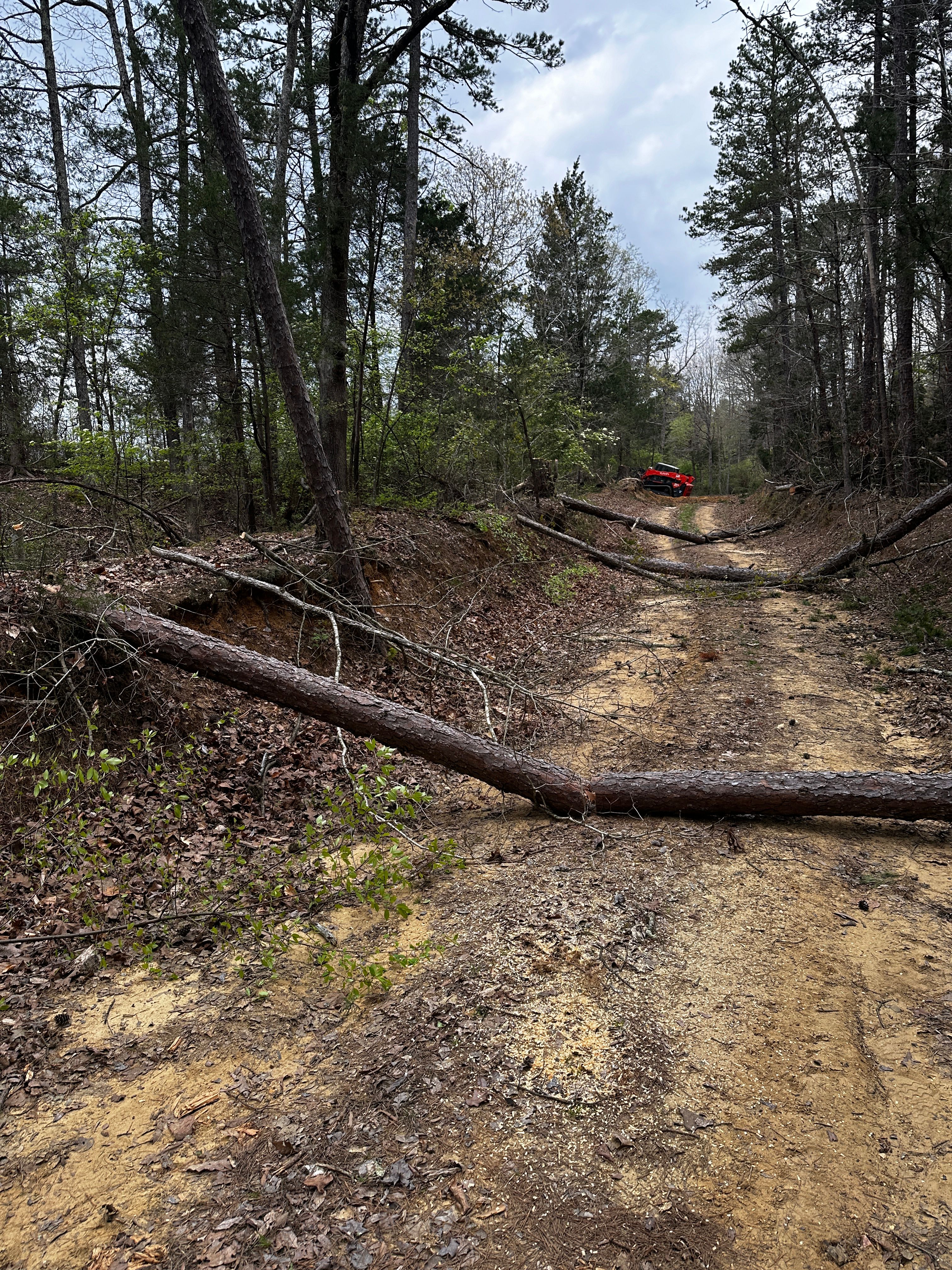  for Cone Grading and Land Clearing in Summerfield, NC