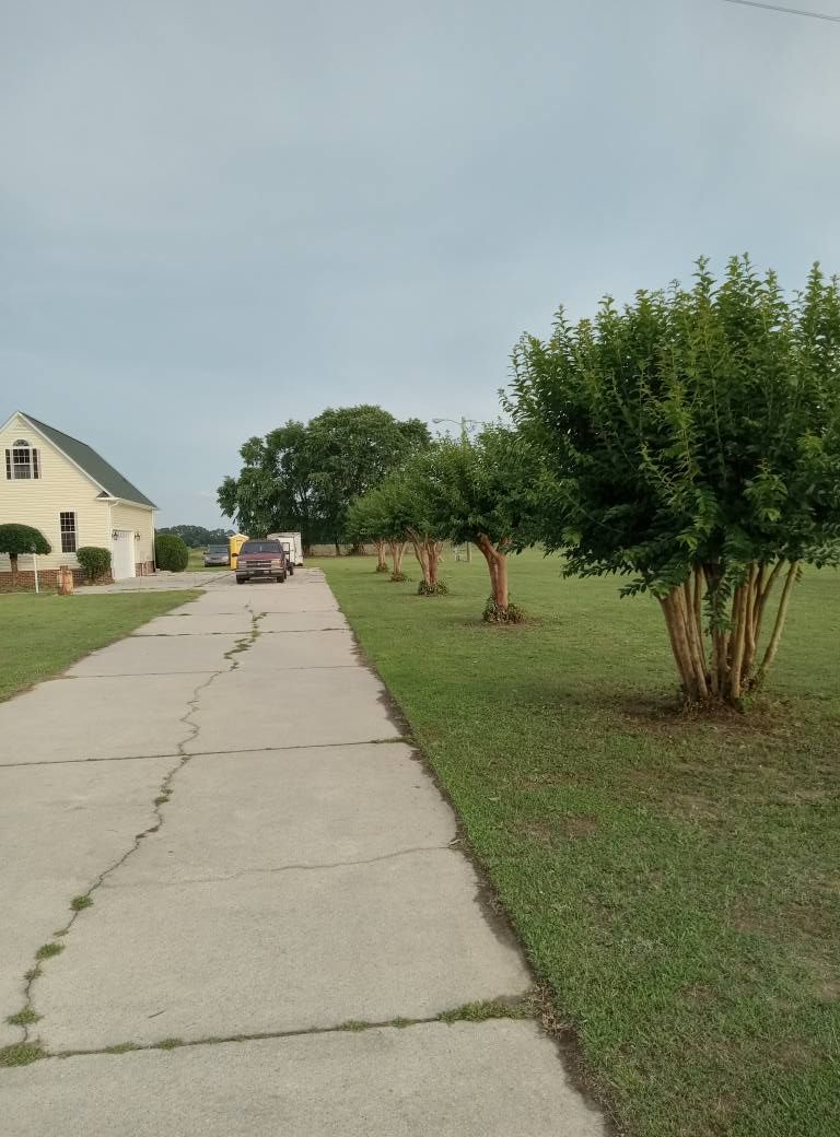  for Brothers On Point Lawn And Junk Removal in Wilson, NC