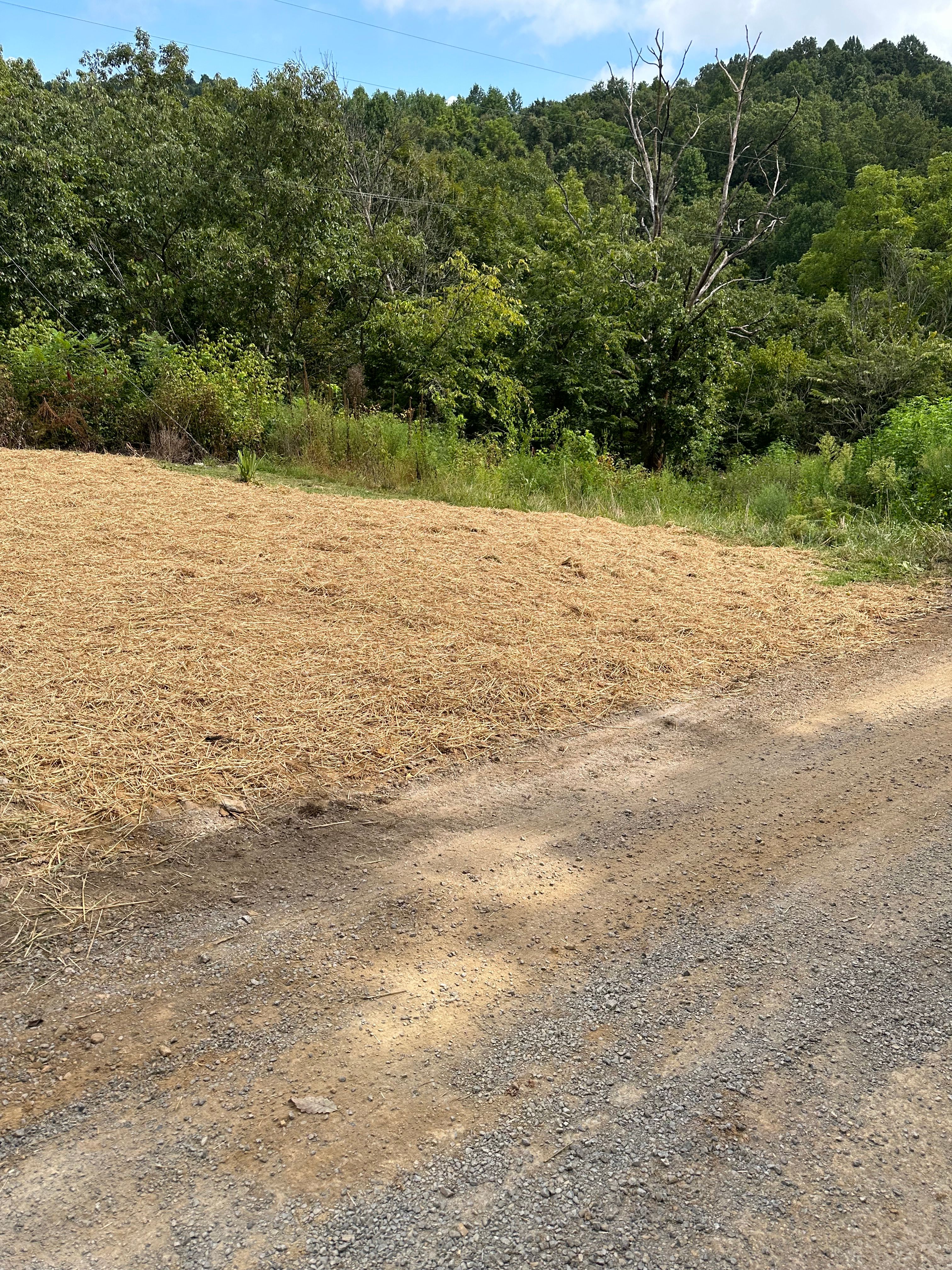  for Excavation Innovations in Rogersville, TN