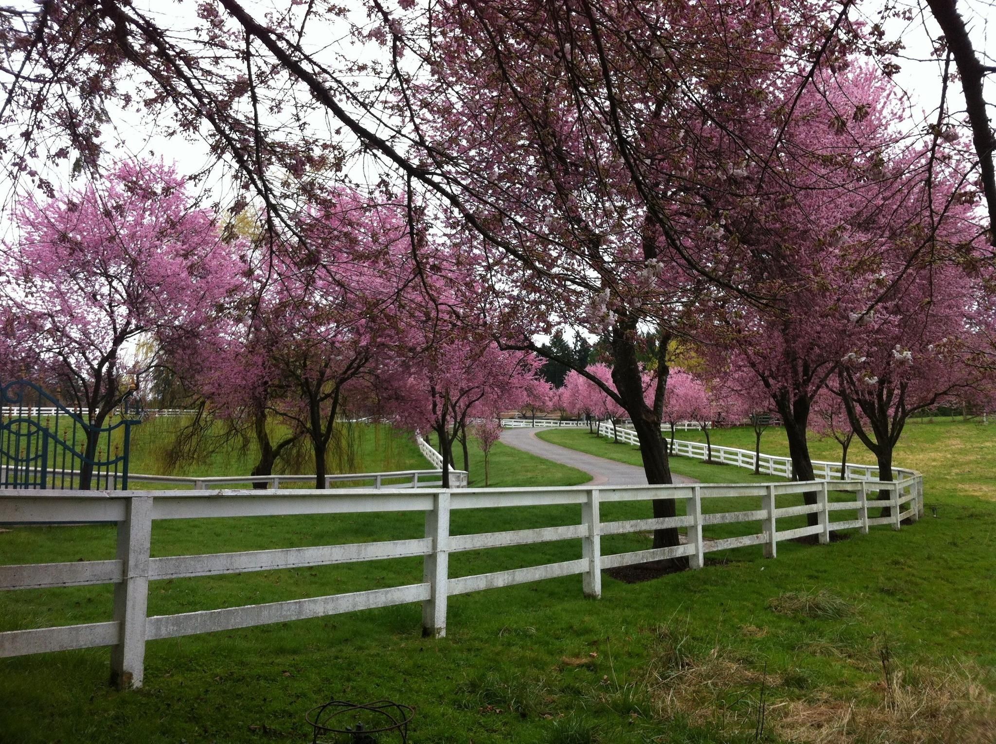 All Photos for Wantage Fence & Stonework, LLC in Wantage, New Jersey