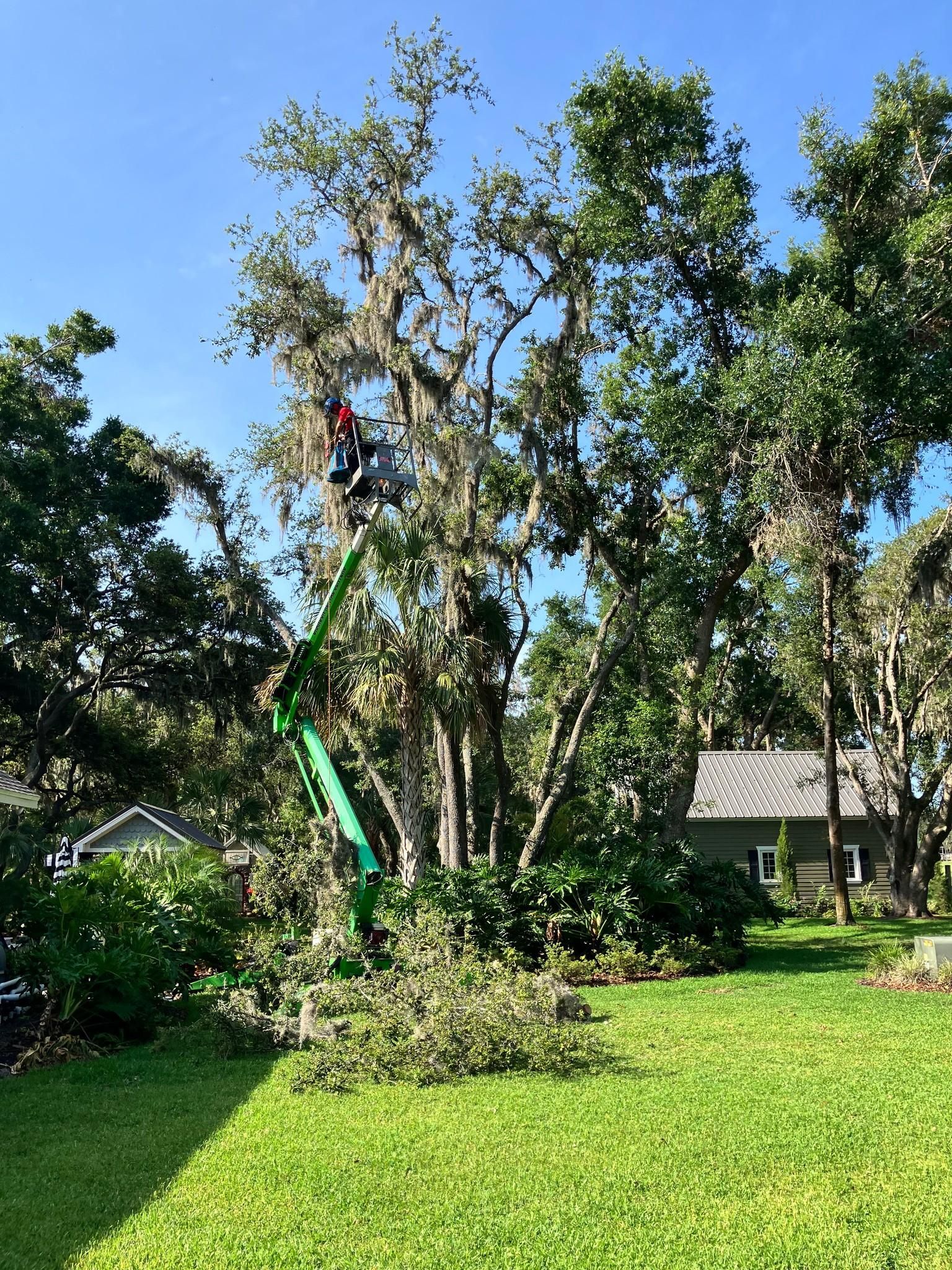 All Photos for TREE BOYS in Ruskin, FL