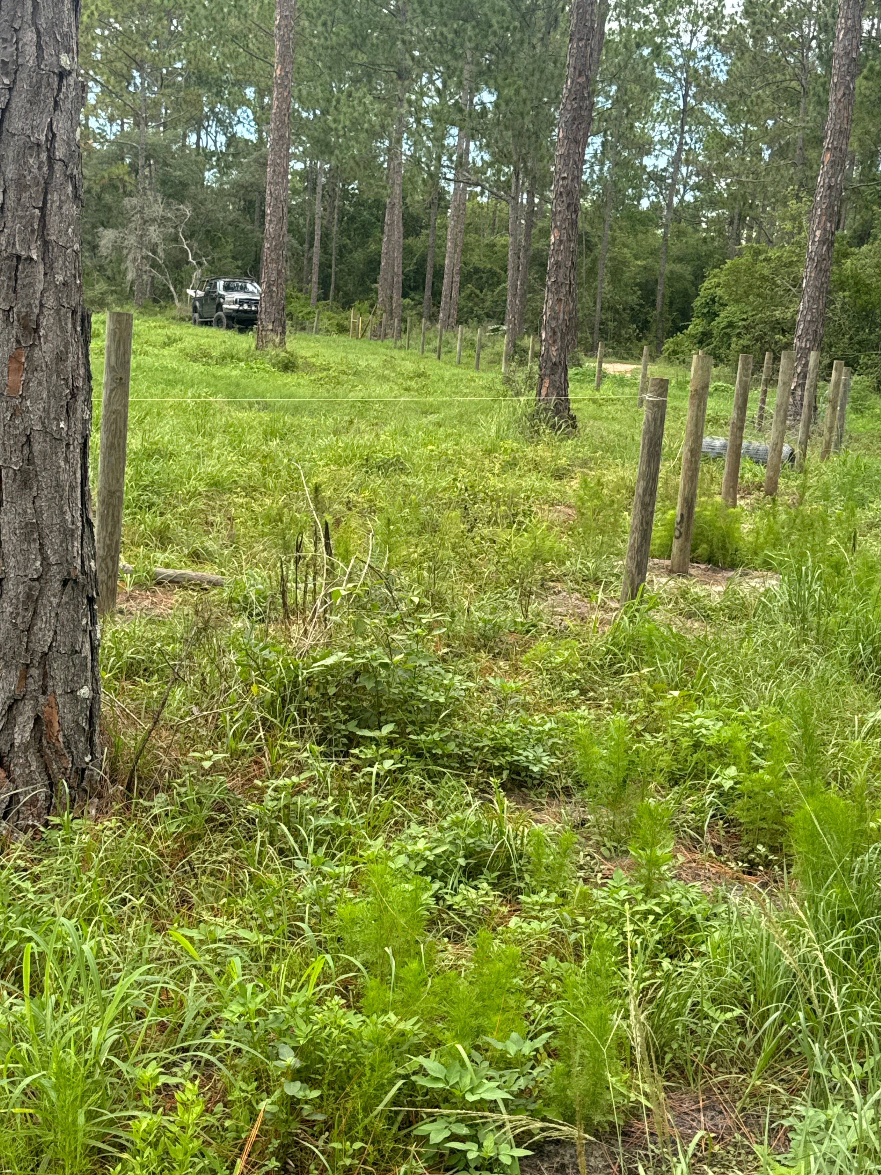  for Joel's Local Handyman Services in Clermont, FL