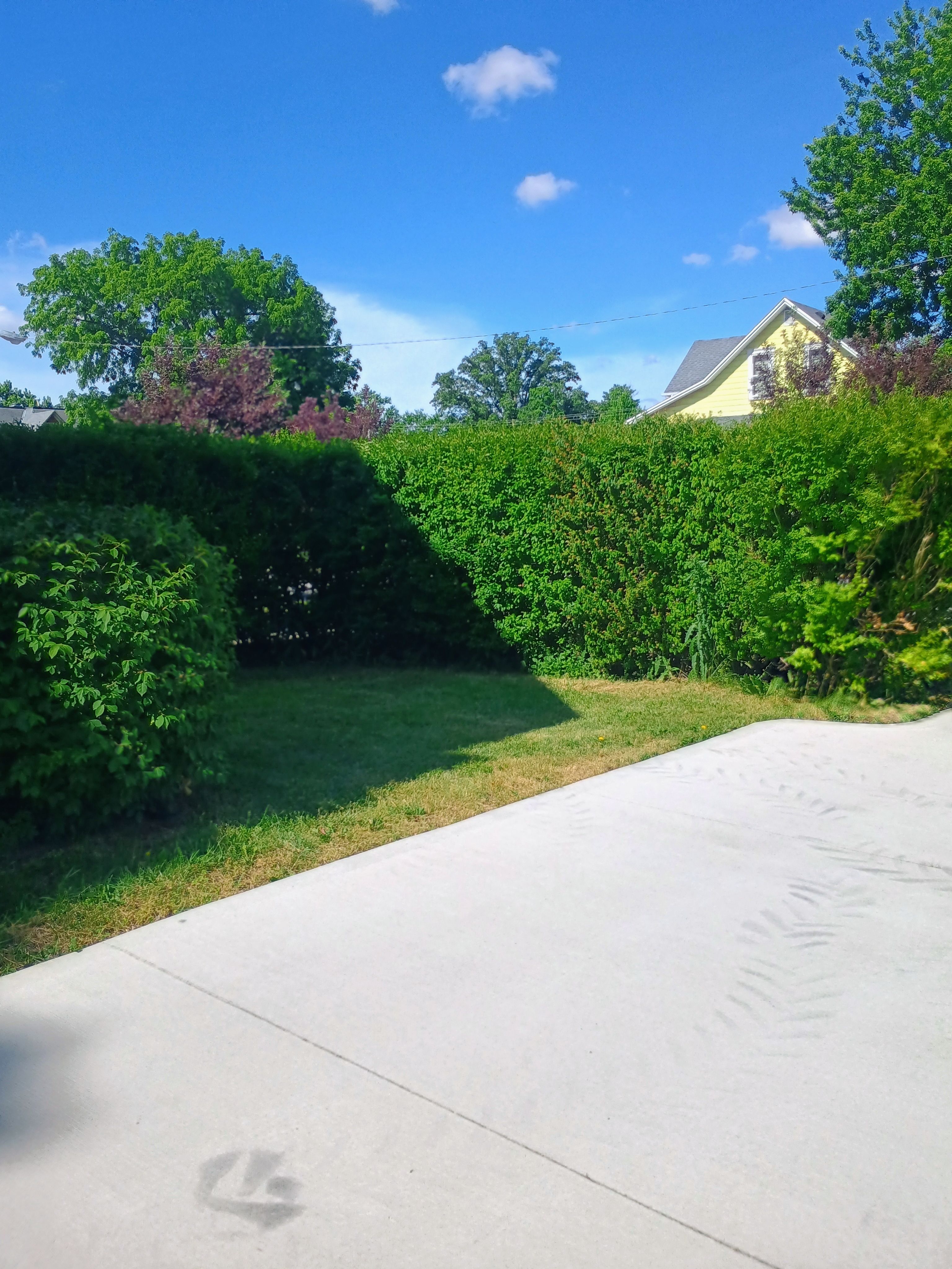  for R&M Lawn Control in Defiance, OH