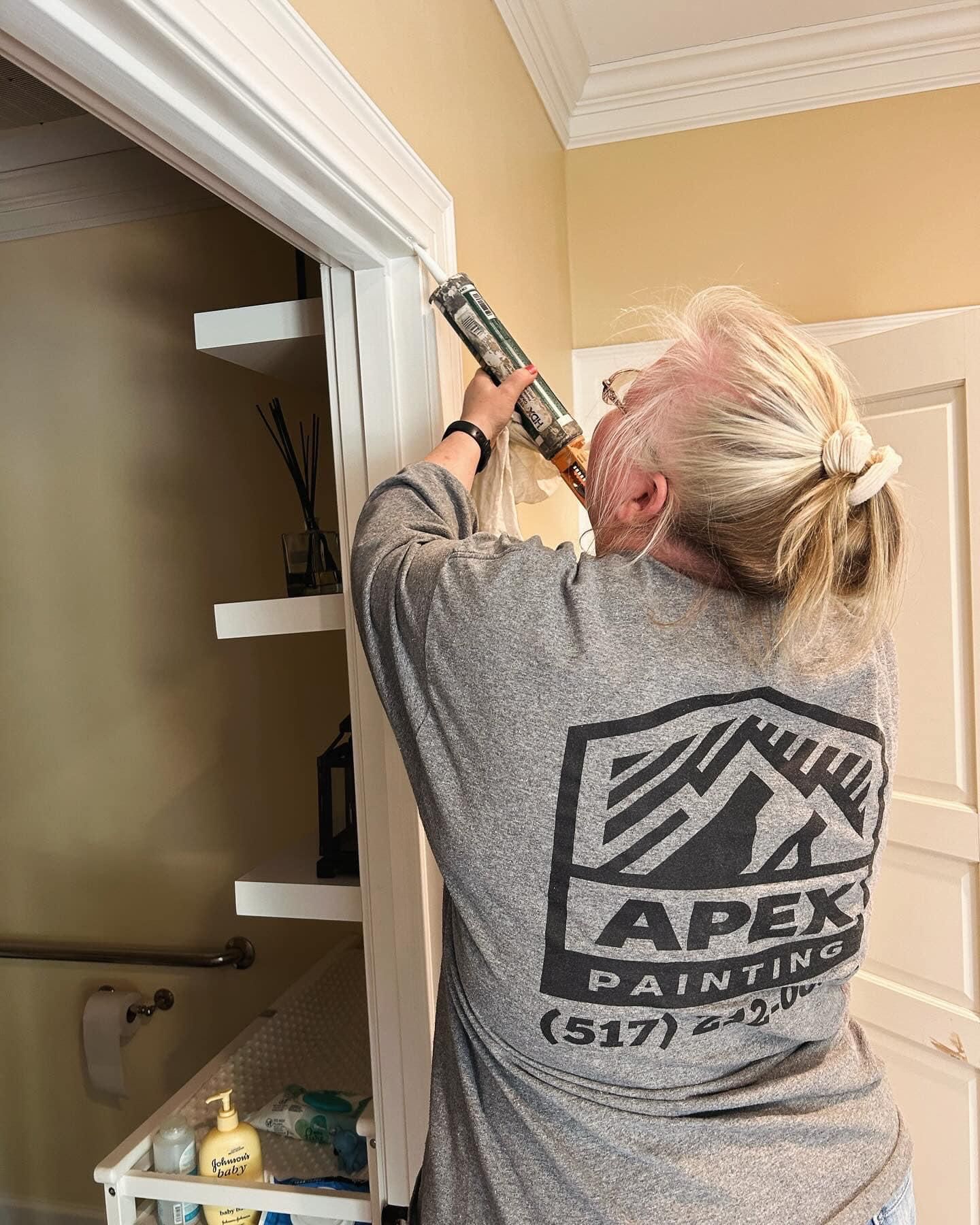  for Apex Painting in Livonia, MI