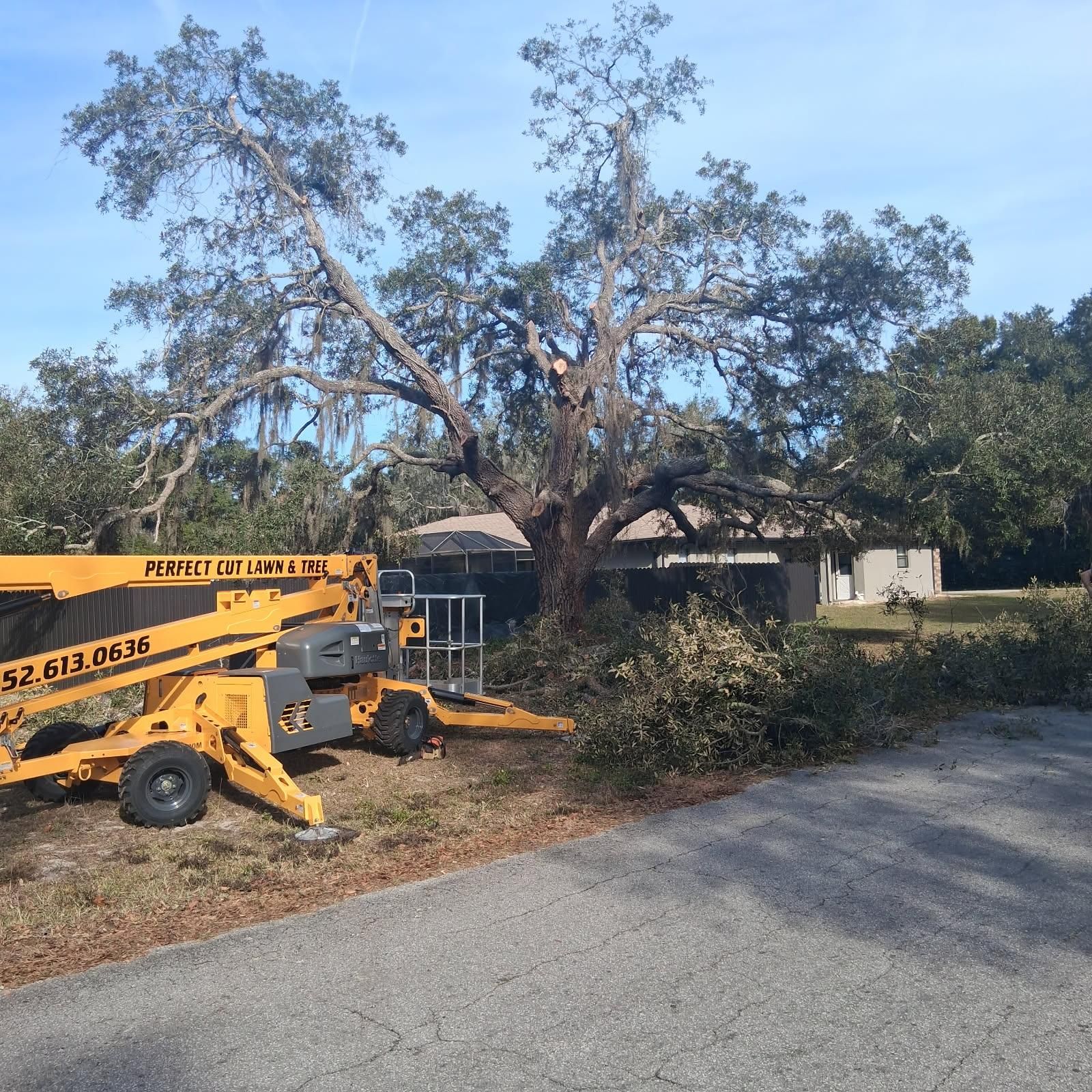 for Perfect Cut Lawn & Tree Care in Citrus County, FL