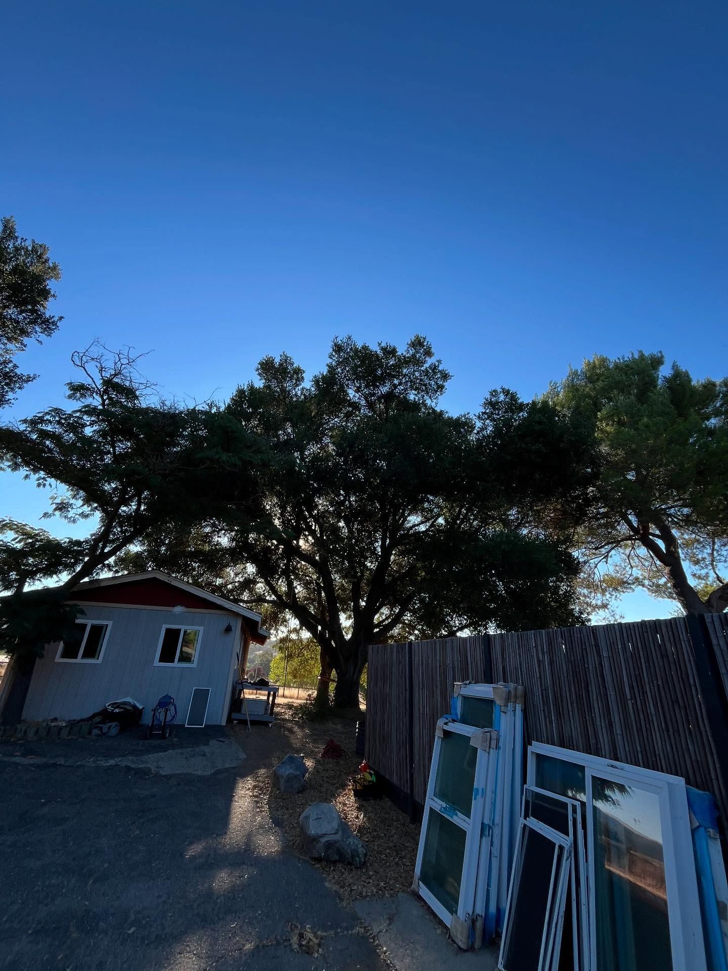  for A1 Junk & Tree Solutions, LLC in Paso Robles, CA