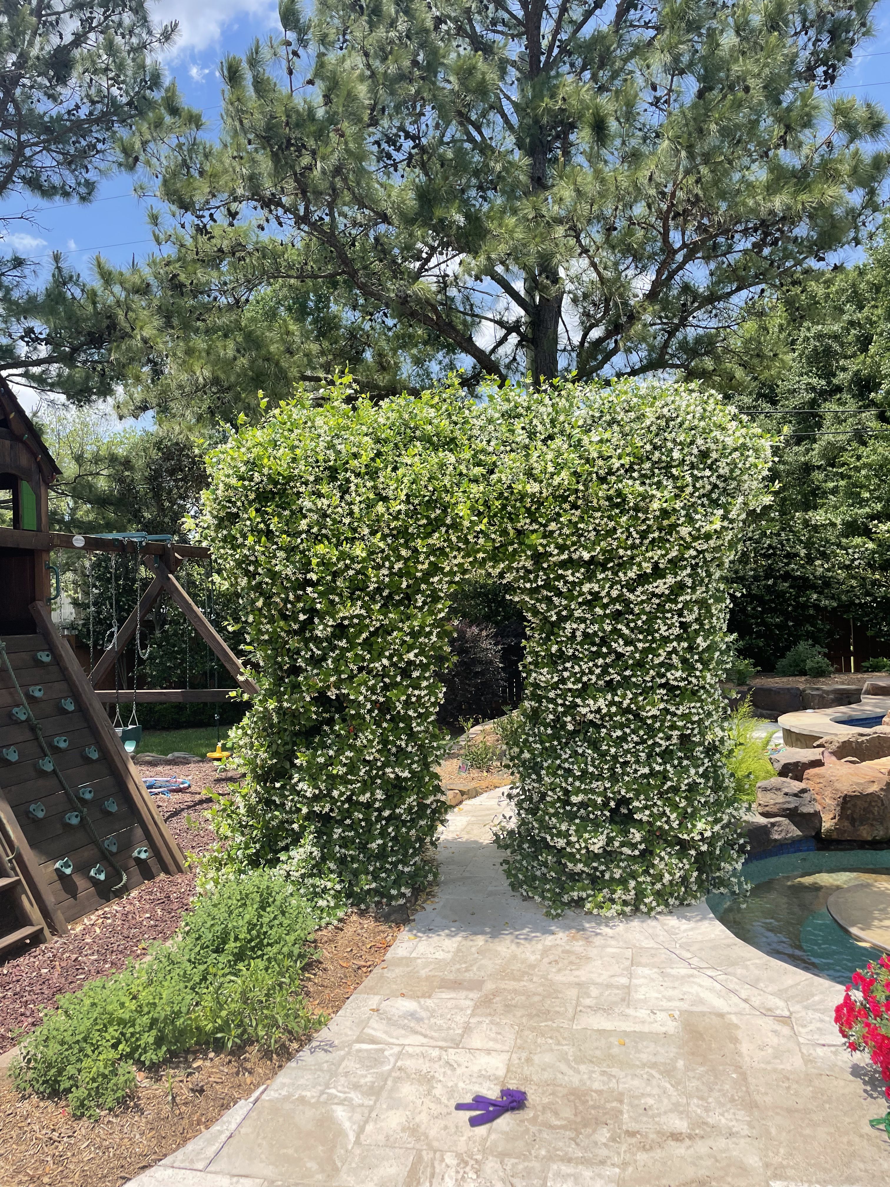 All Photos for Atlas Land Design in Creekside Park, TX