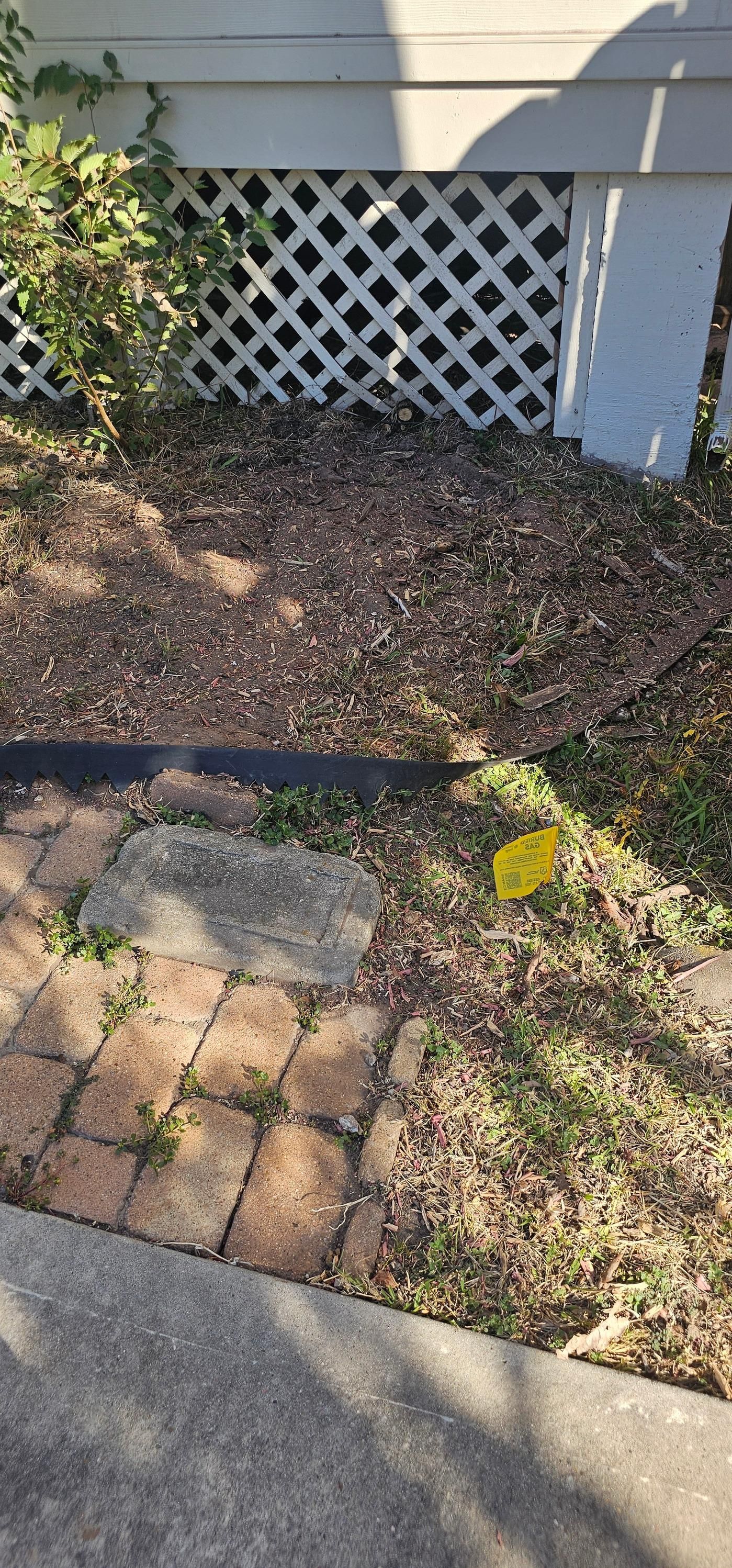  for Servin's Tree Care  in Houston, TX