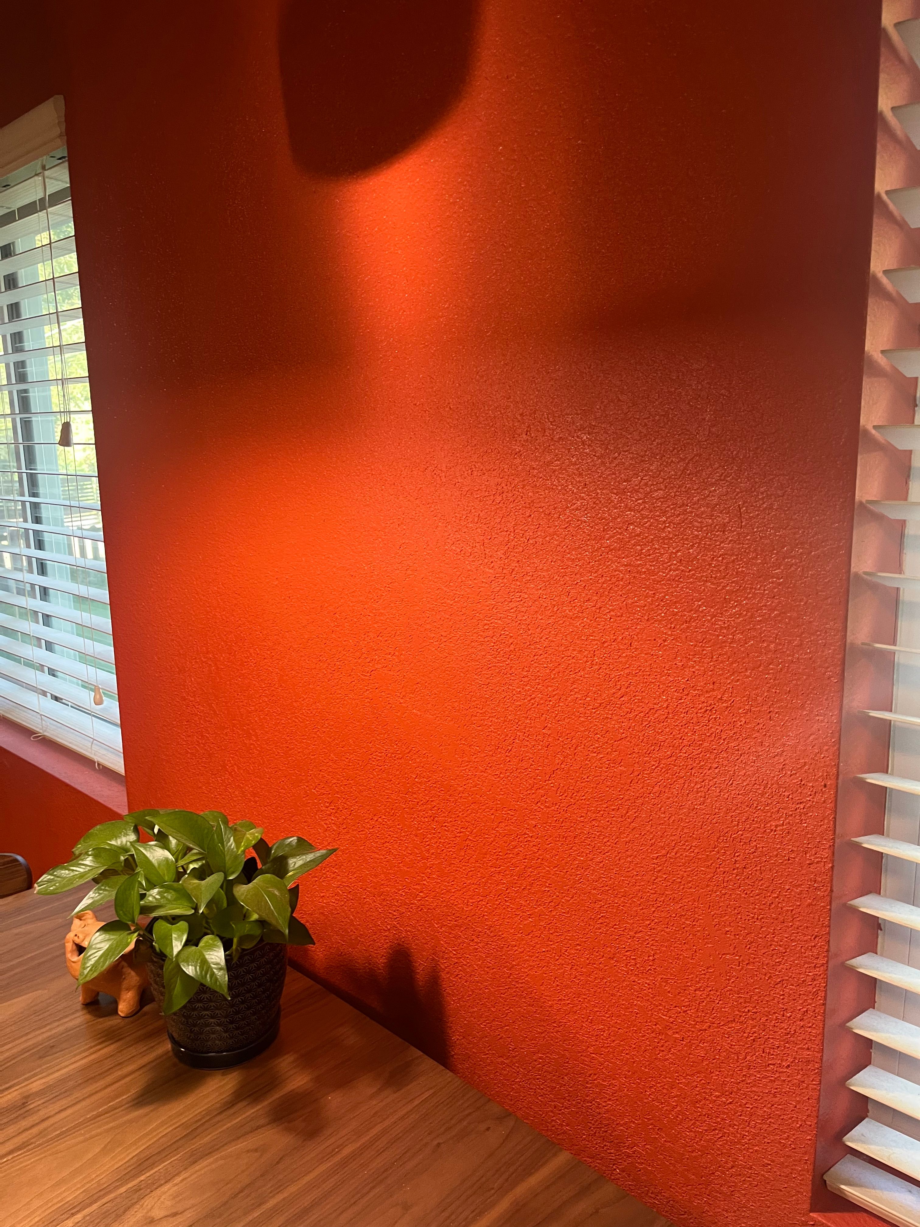  for Patch Pros LLC in Denver, CO