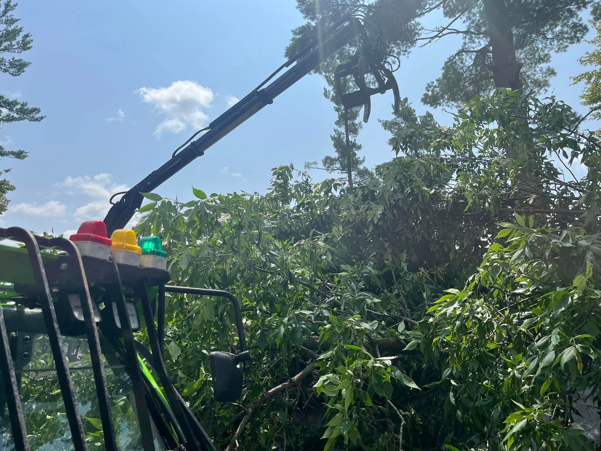 All Photos for Tree-B-Gone in Shawano, WI