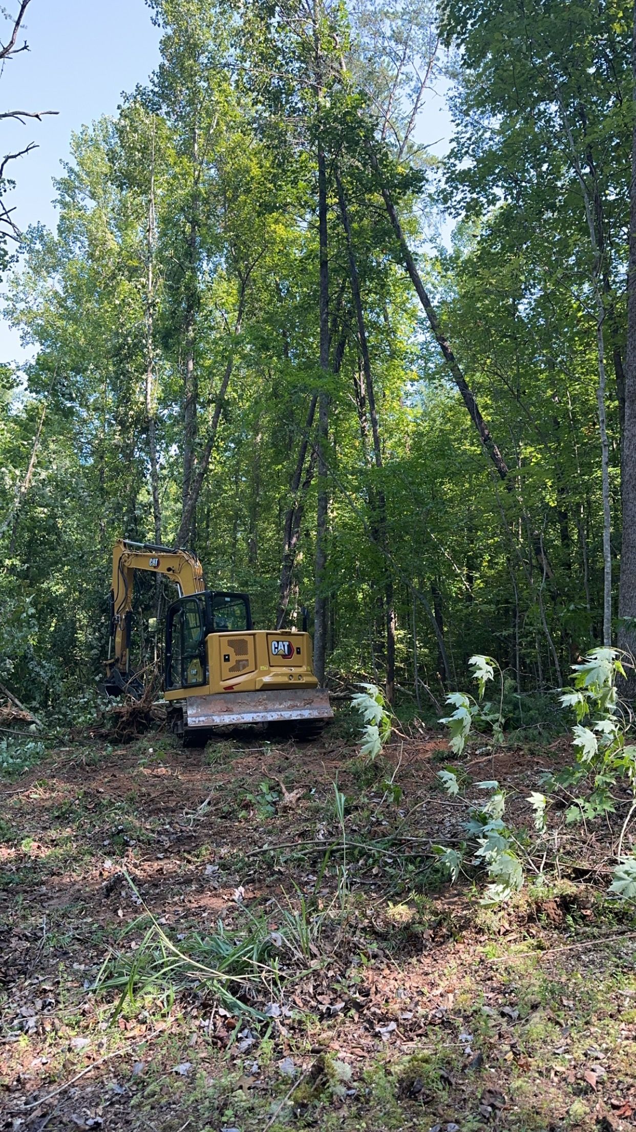  for Stines and Company  in Rutherfordton, NC