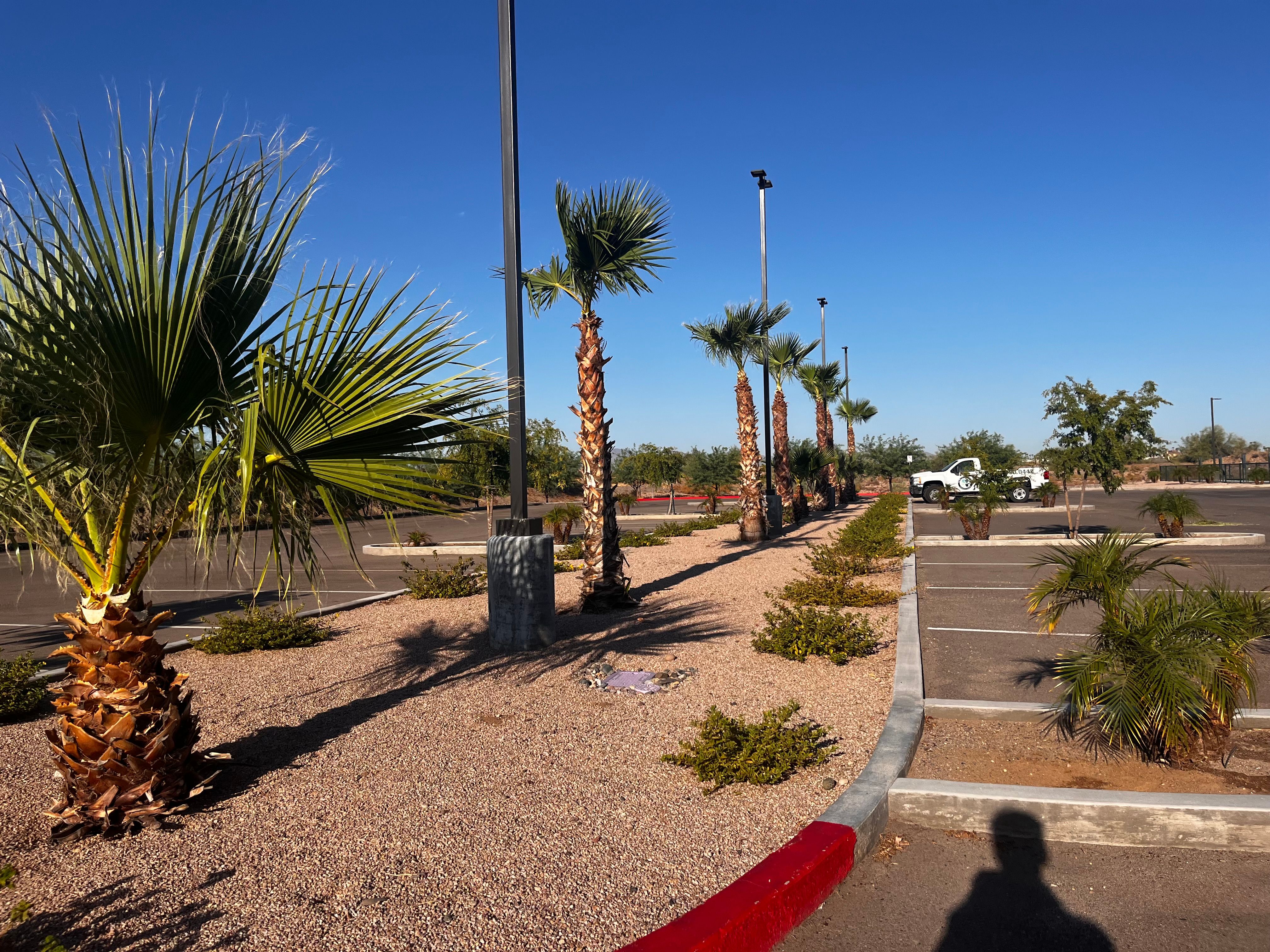  for AZ Tree & Hardscape Co in Surprise, AZ