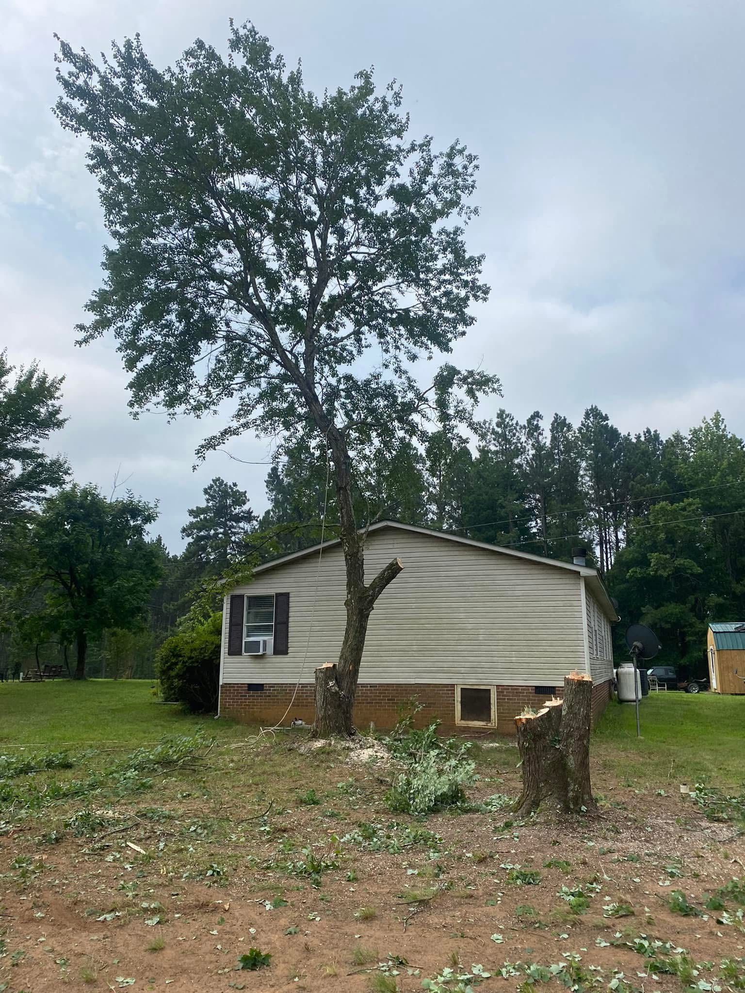 All Photos for Site Solutions in Lynchburg, Virginia