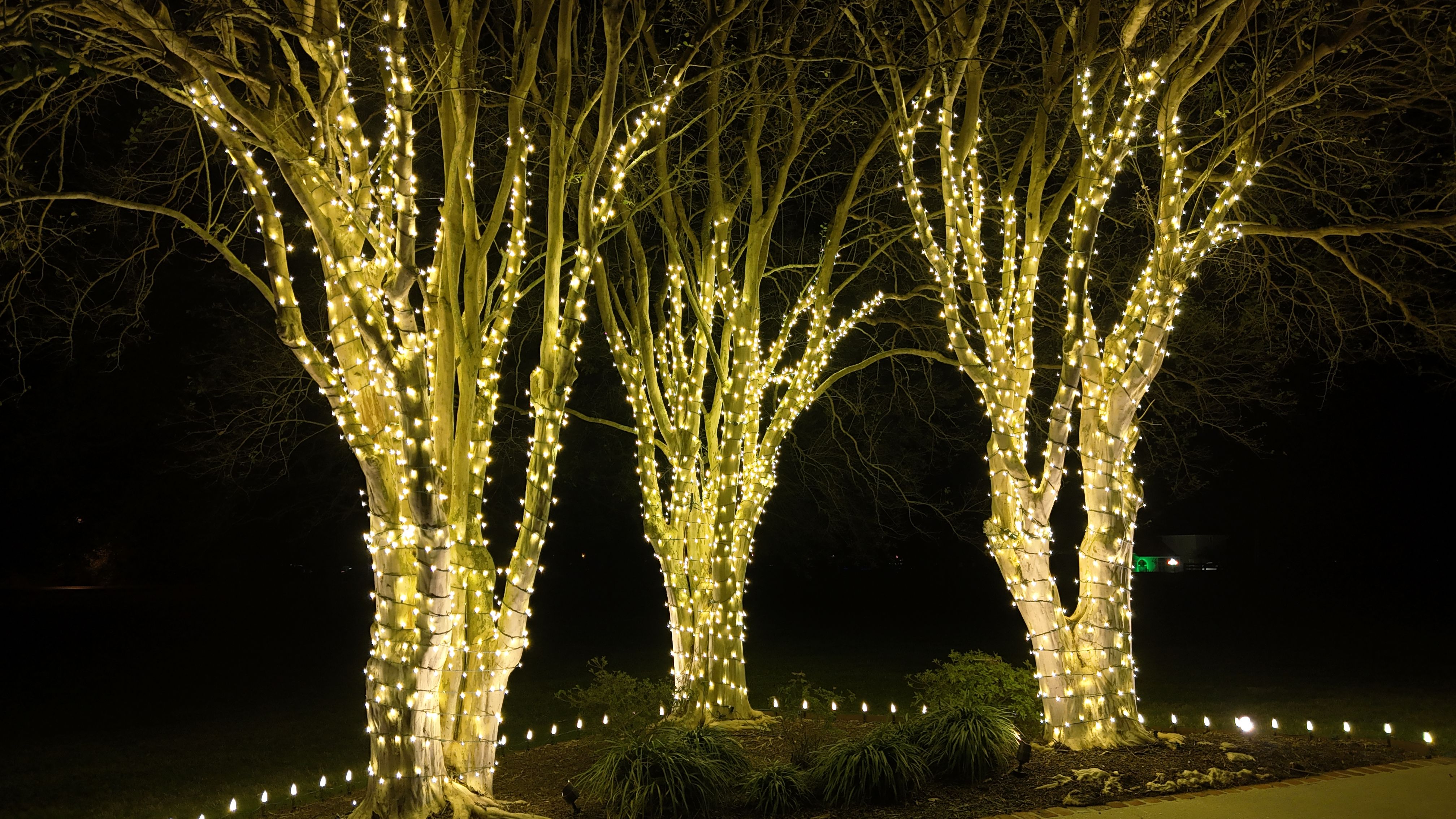  for Light The Season in Lafayette Parish,  LA