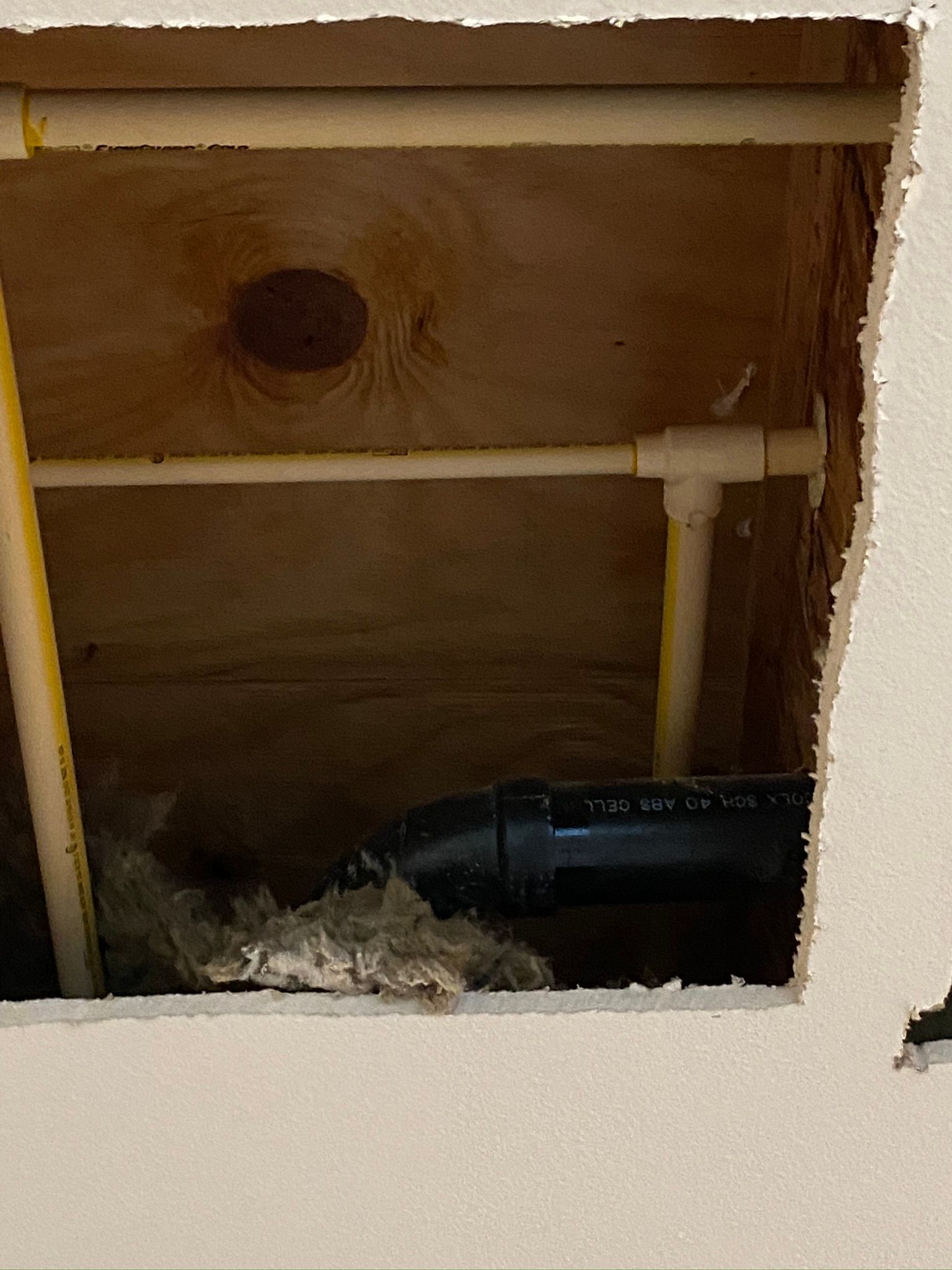  for Tony's Remodeling & Painting in Renton, WA