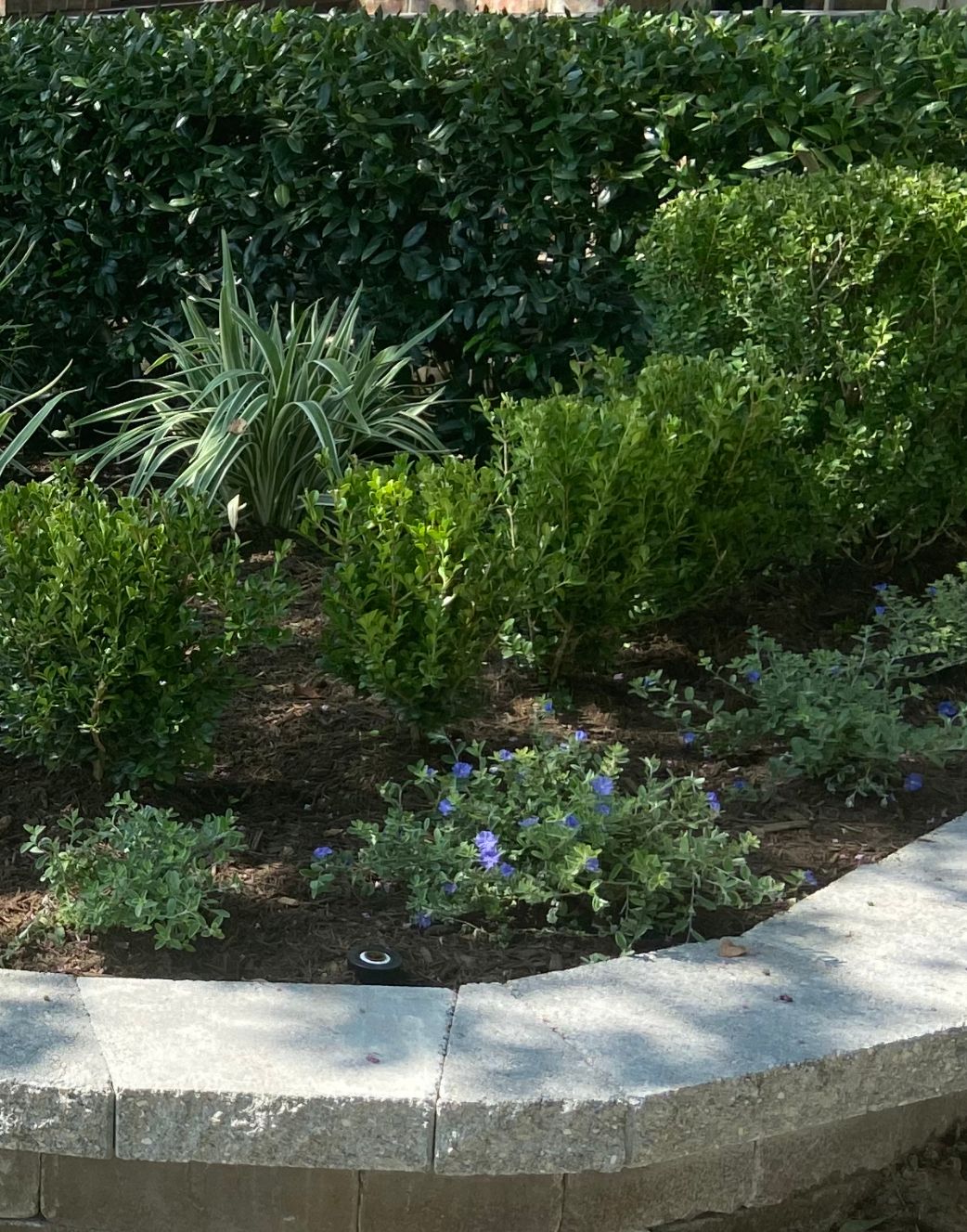 All Photos for Atlas Land Design in Creekside Park, TX