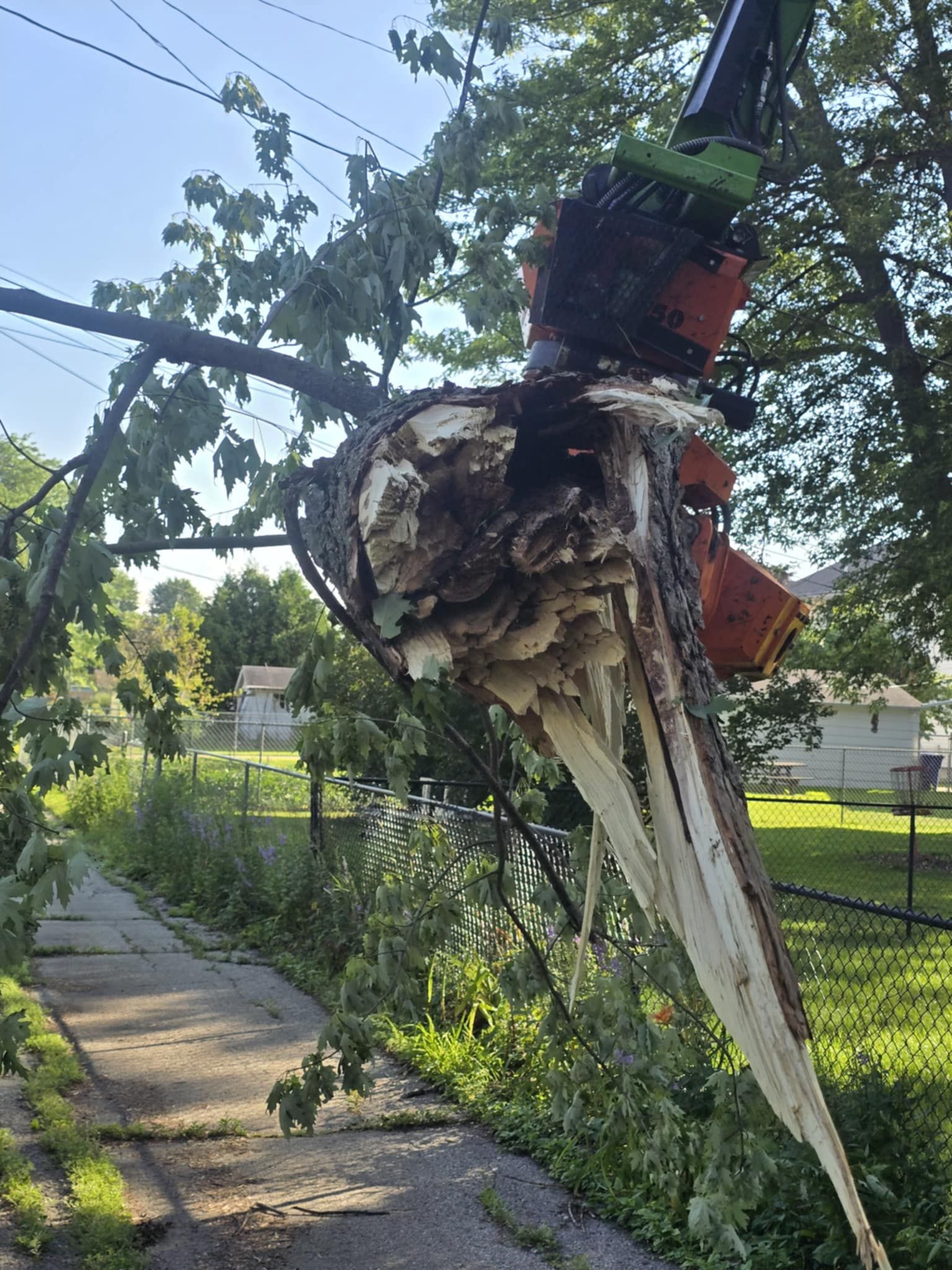 All Photos for Tree-B-Gone in Shawano, WI