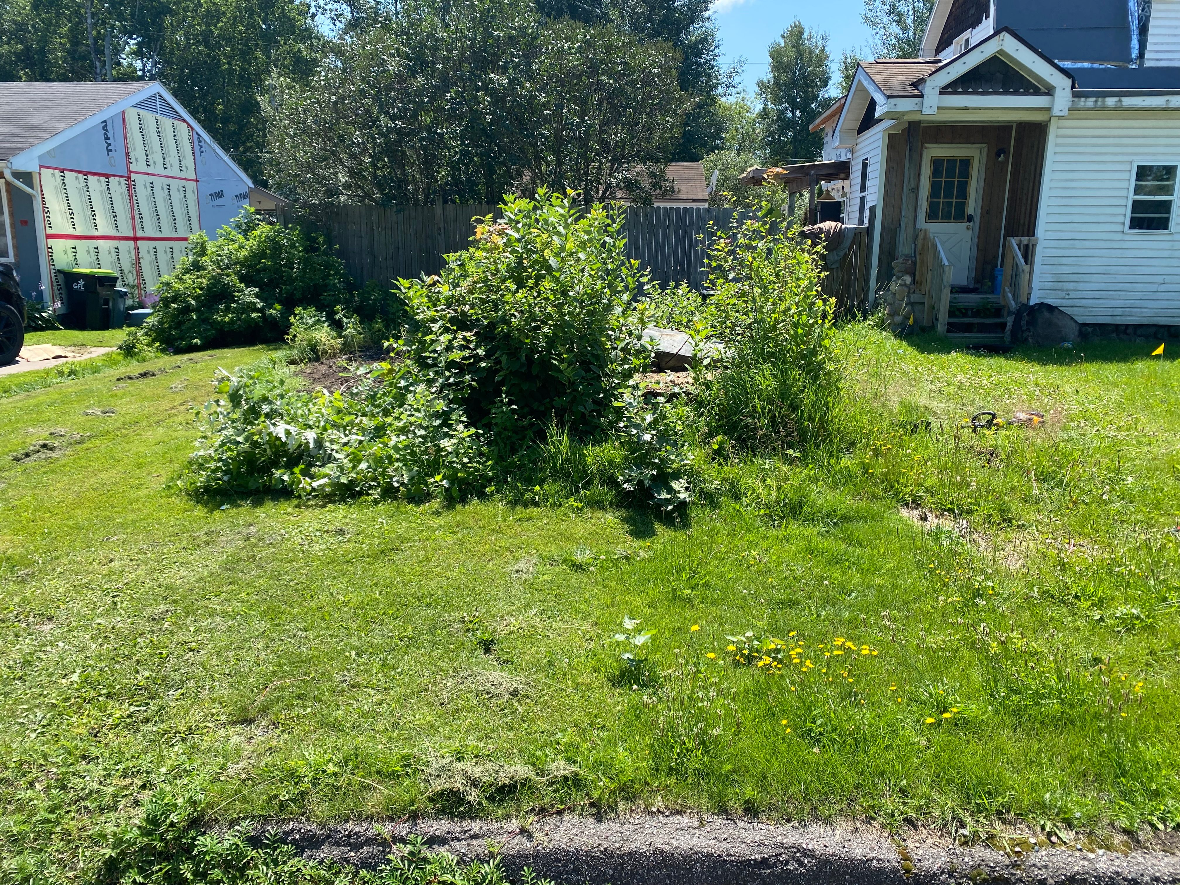 Tree Removal for Bear Creek Tree Service LLC in Rudyard, MI