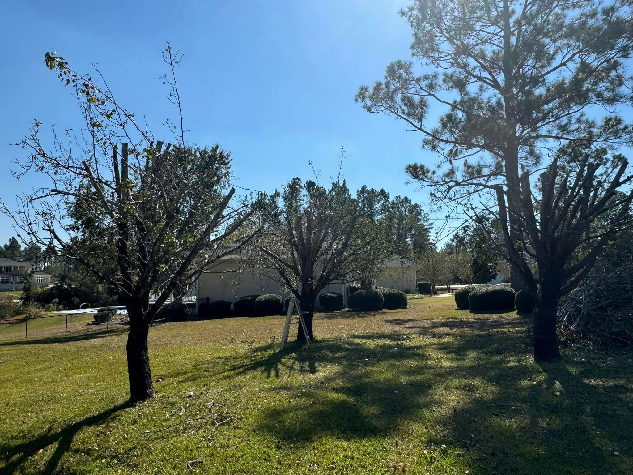  for Sierra Verde Landscaping in Vidalia, GA