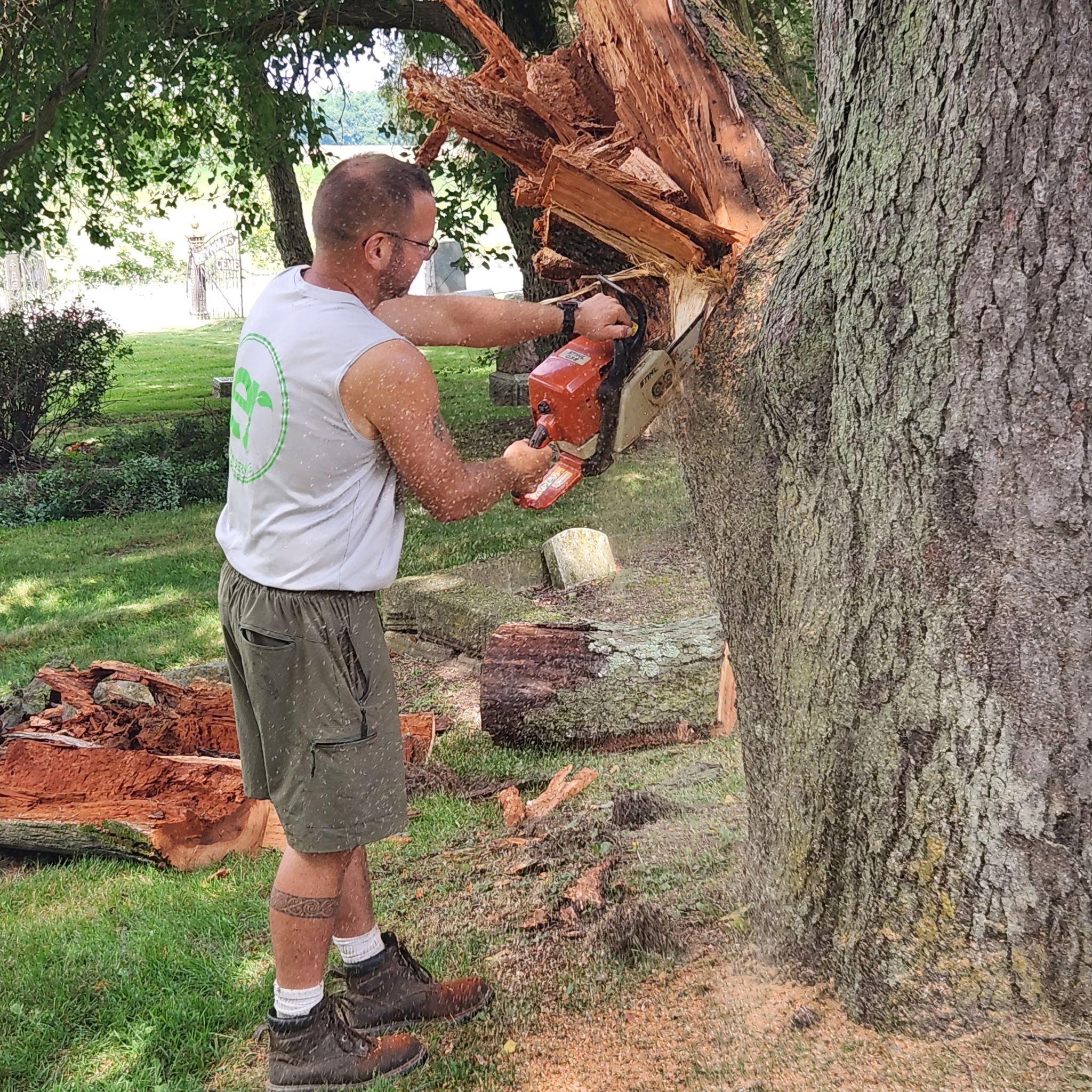 All Photos for ER Lawn Service in Manchester, MI