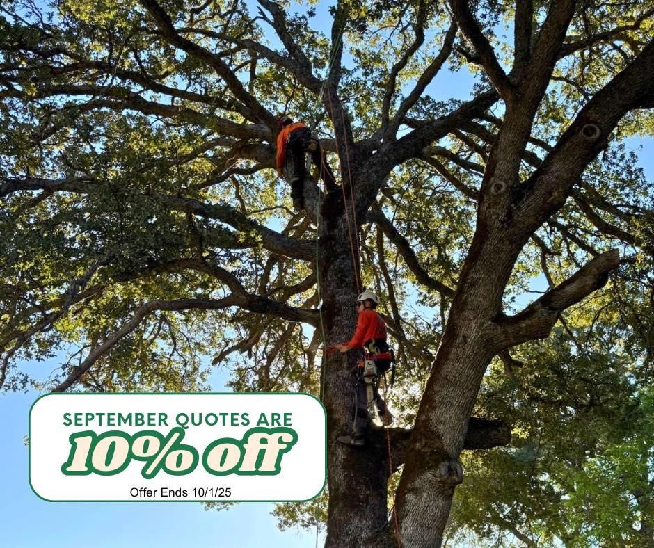 All Photos for Tyco Forest Management in Placerville, CA