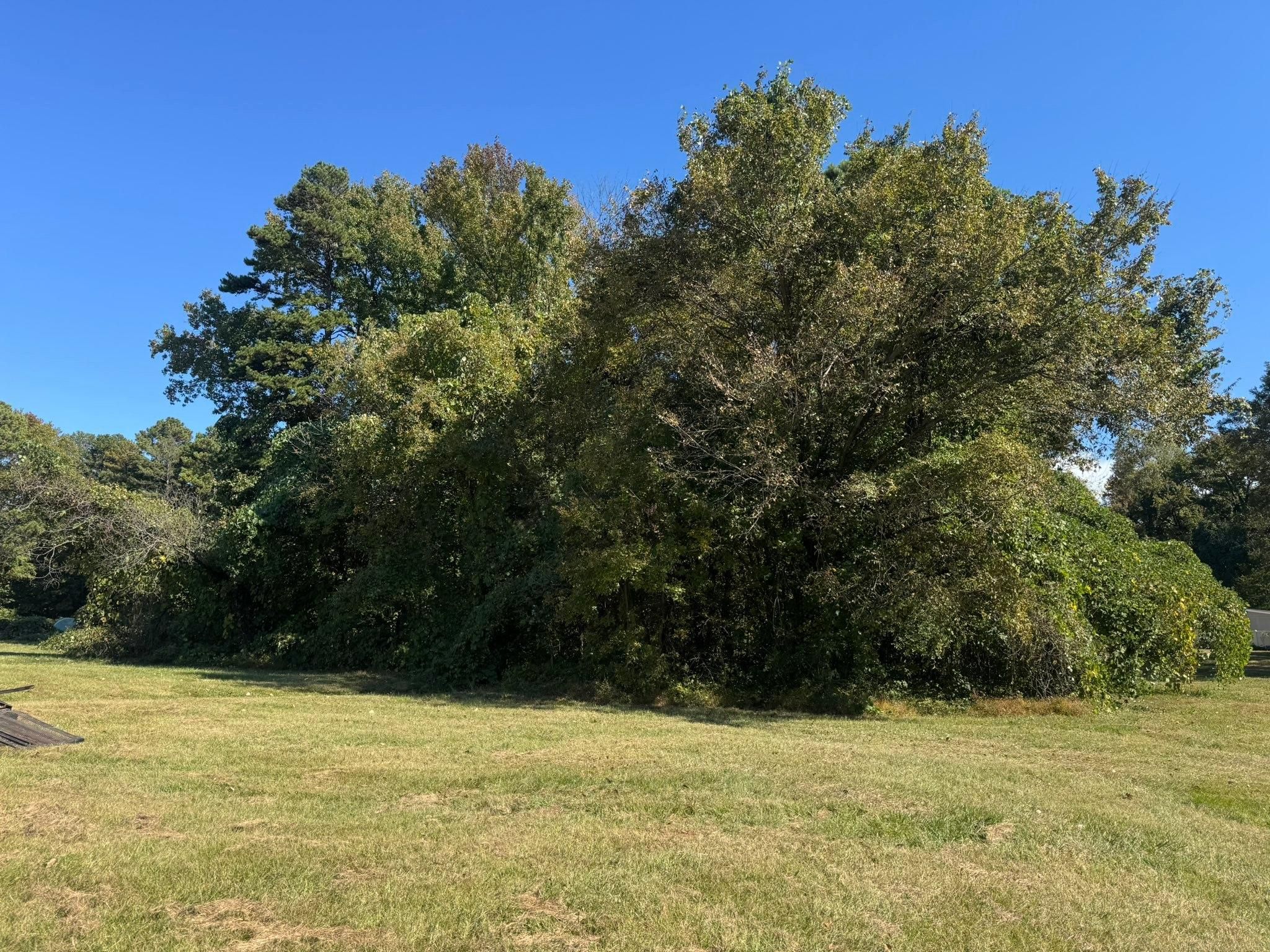  for Southern Turf & Landscape in Concord, NC