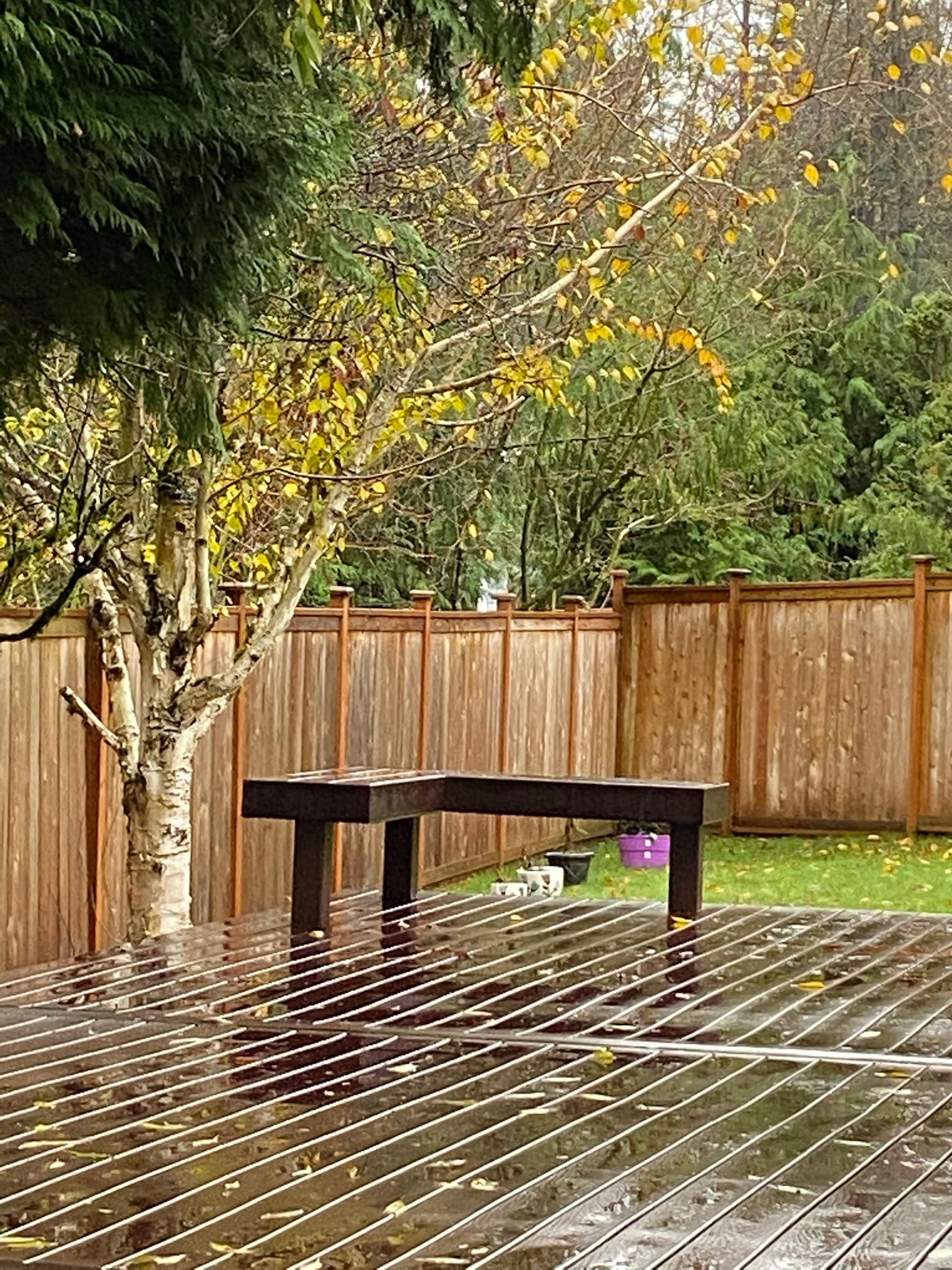  for Tony's Remodeling & Painting in Renton, WA