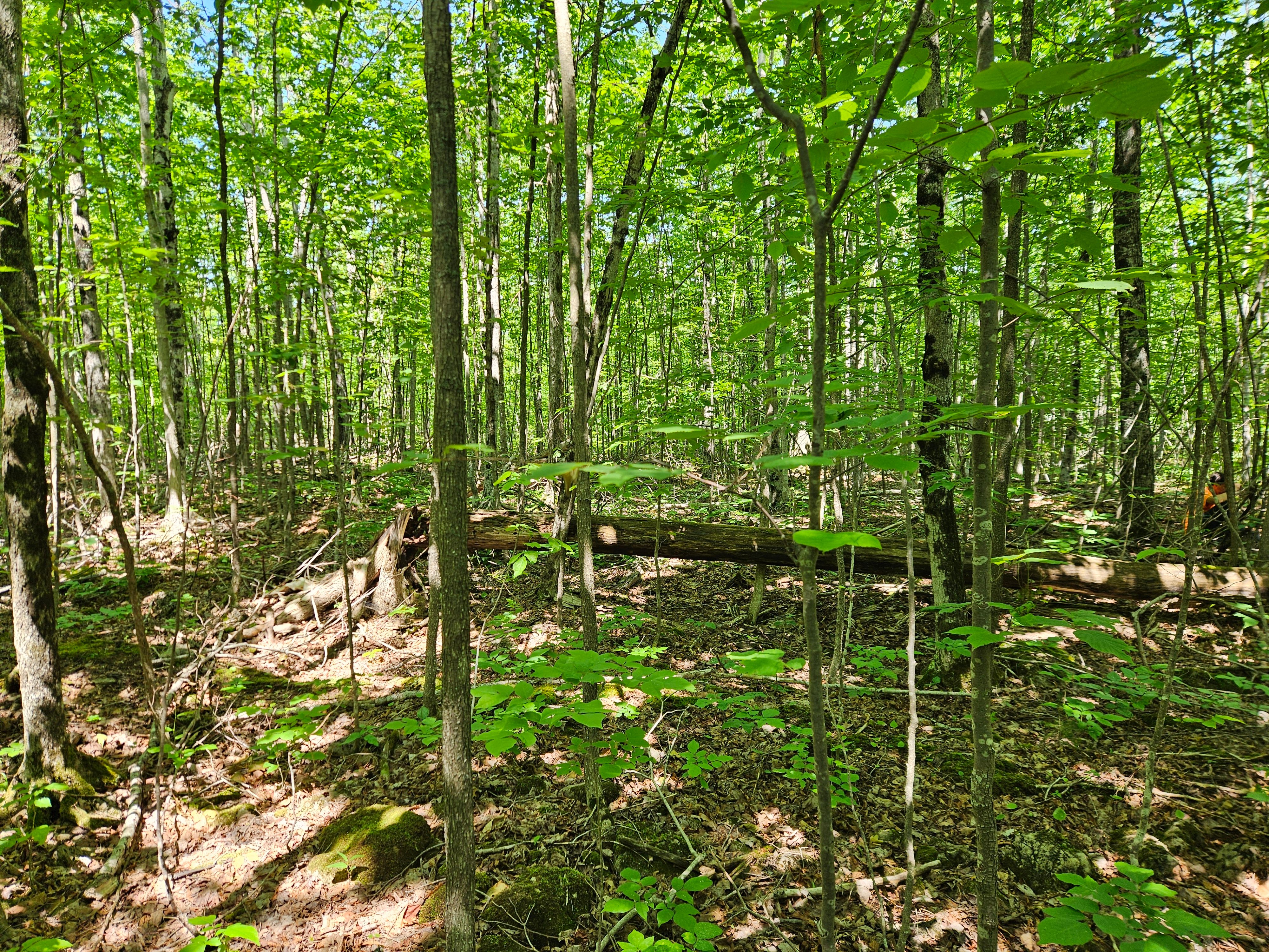 All Photos for T & T Excavating and Property Services in Presque Isle County, MI