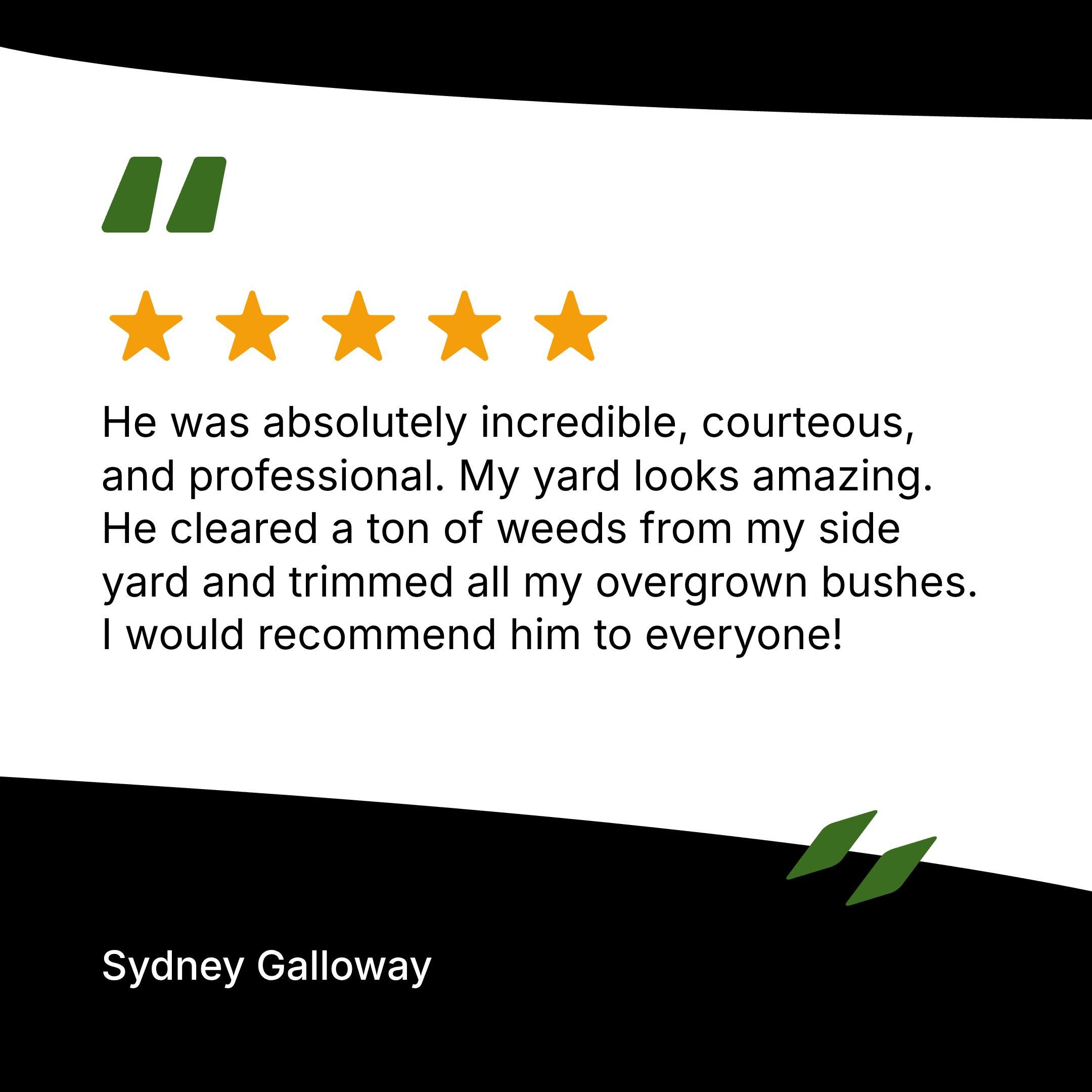  for Castillo’s Lawn Care in Monroe, GA