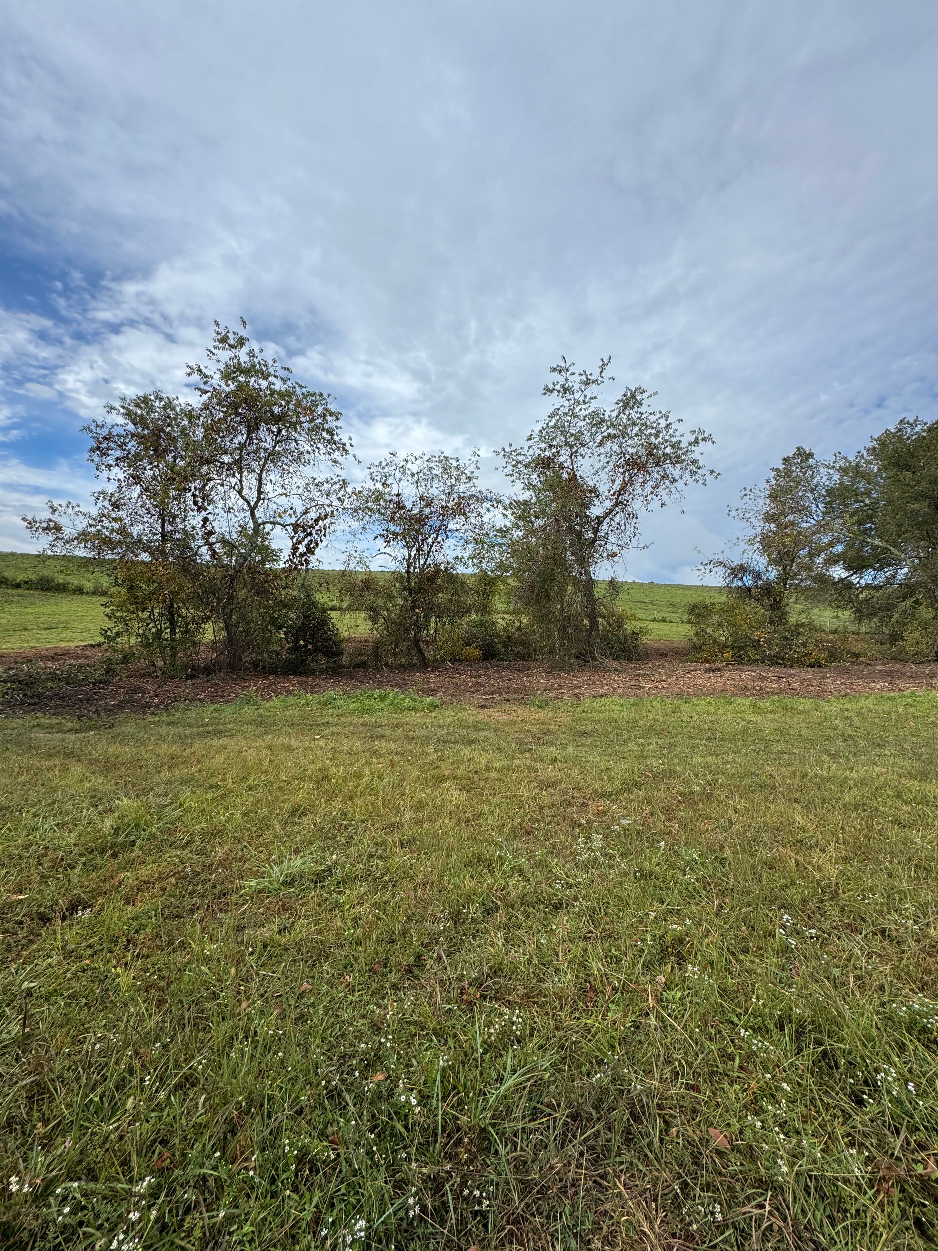  for Mountain Goat Land Management in Galax, VA