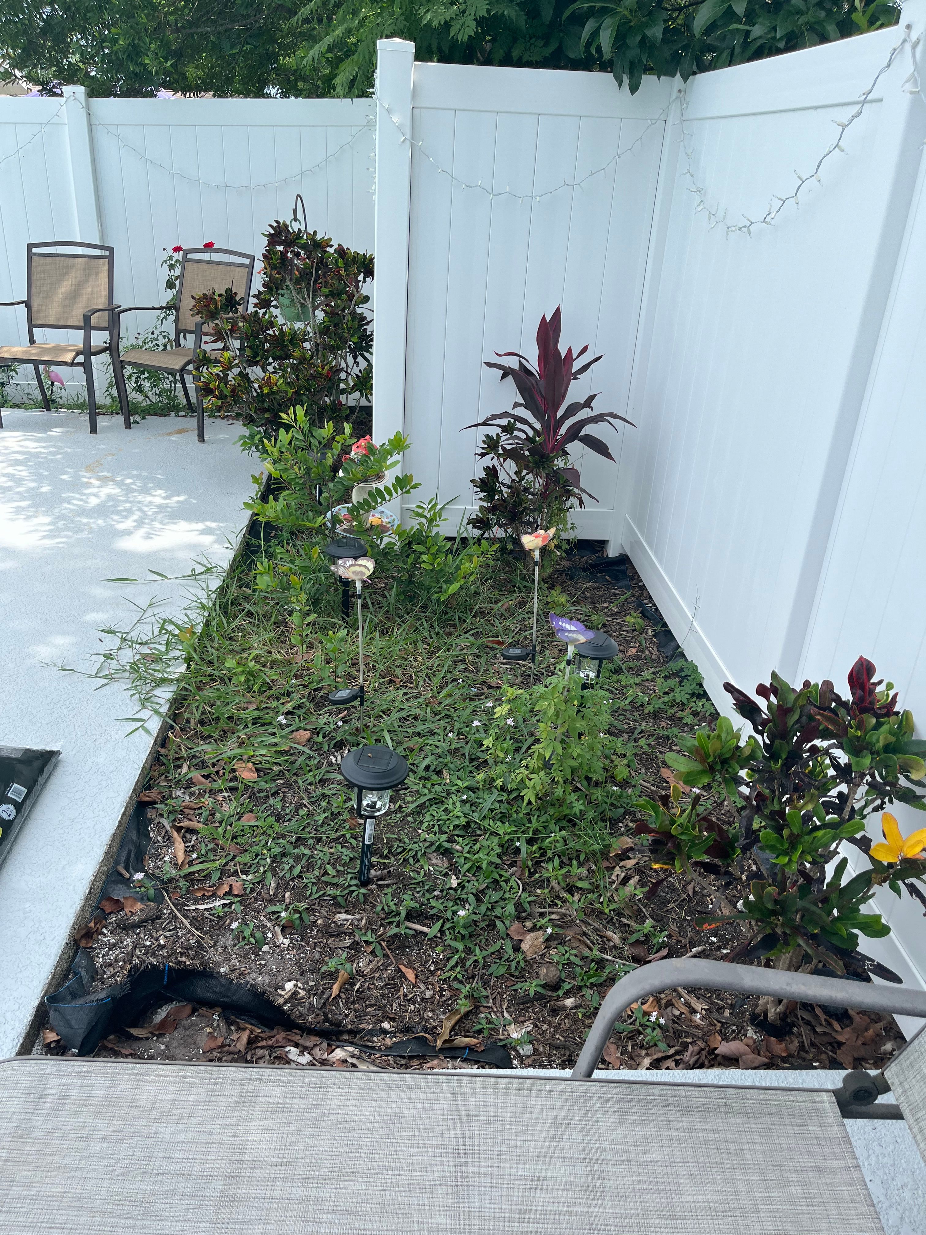  for Space Coast Property Maintenance and Management LLC in Melbourne, FL