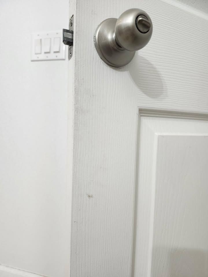  for Space Coast Property Maintenance and Management LLC in Brevard County, FL