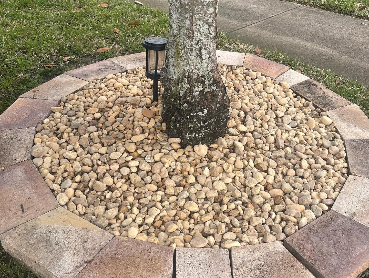 Fall and Spring Clean Up for Dandelion Landscaping in Clermont, FL