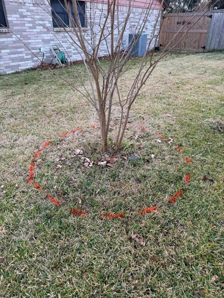  for Texas Curb N Borders in Houston, TX