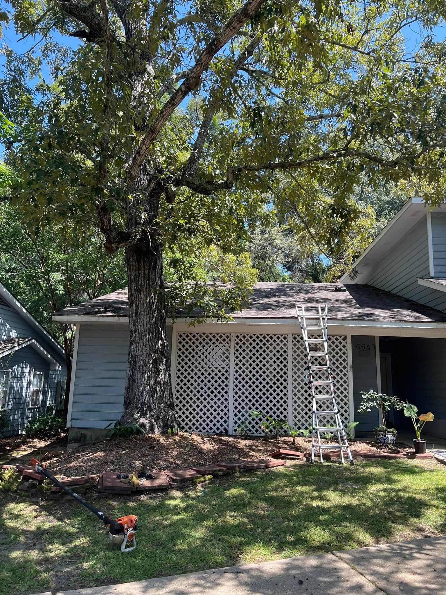  for Southern Venom Services in Daphne, AL