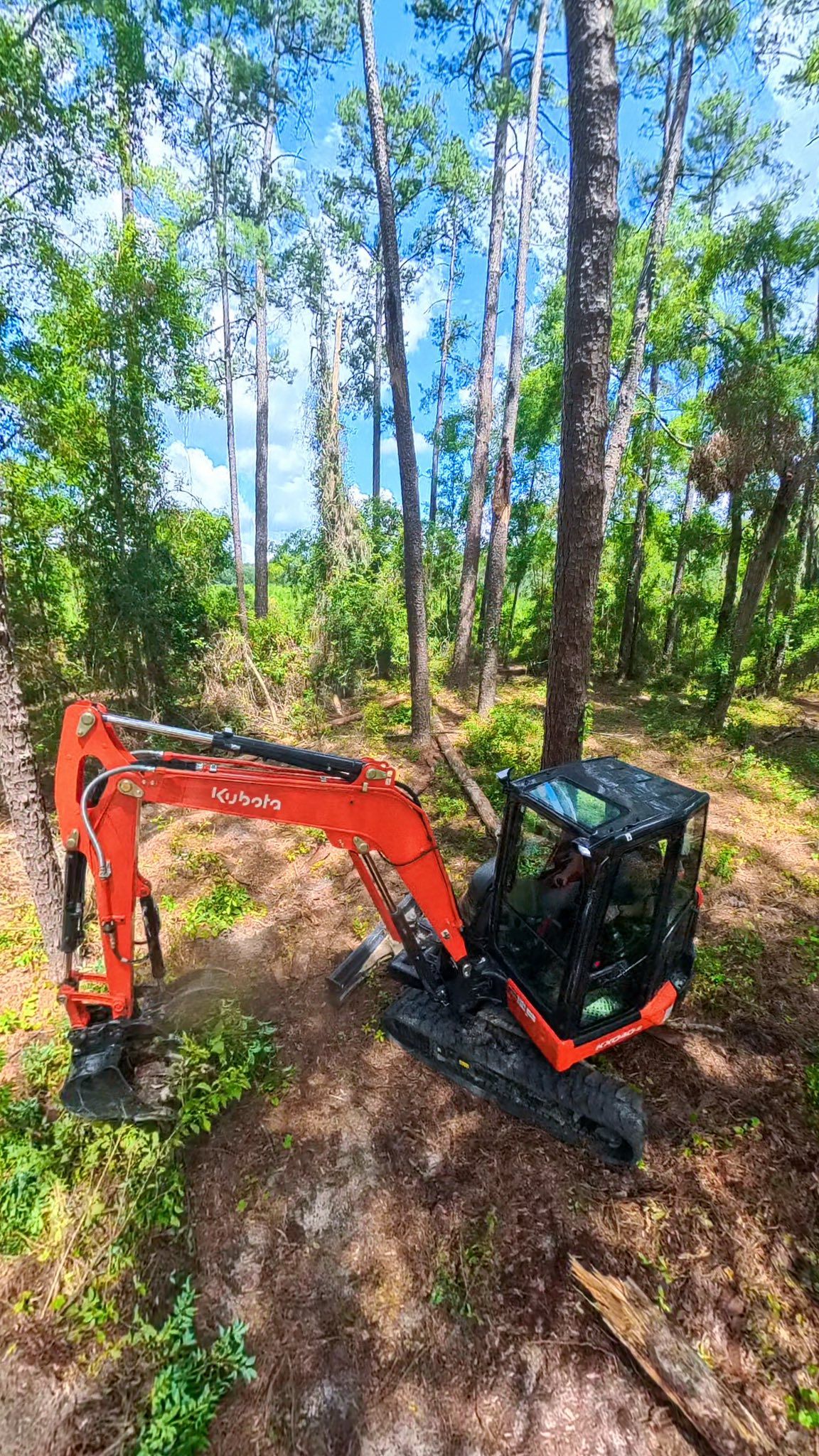  for Family Roots Landworks and Debris Removal in Newberry, FL