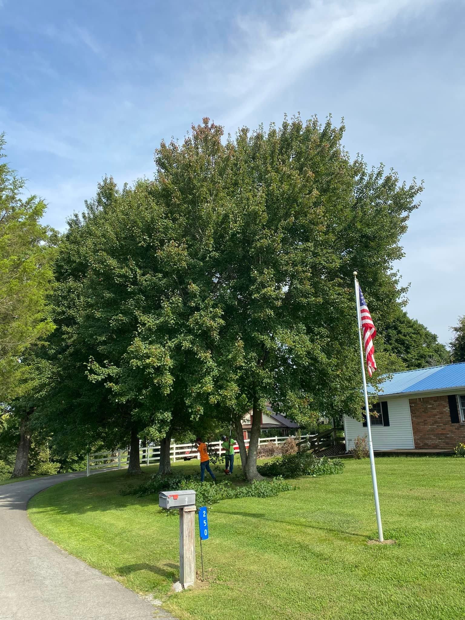 Fall and Spring Clean Up for Atwood’s Tree Care in Liberty,  KY