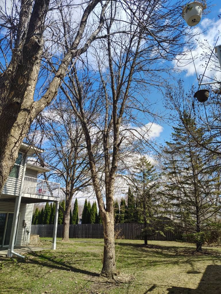 All Photos for Big River lawn Care services and snow LLC in Wausau, WI