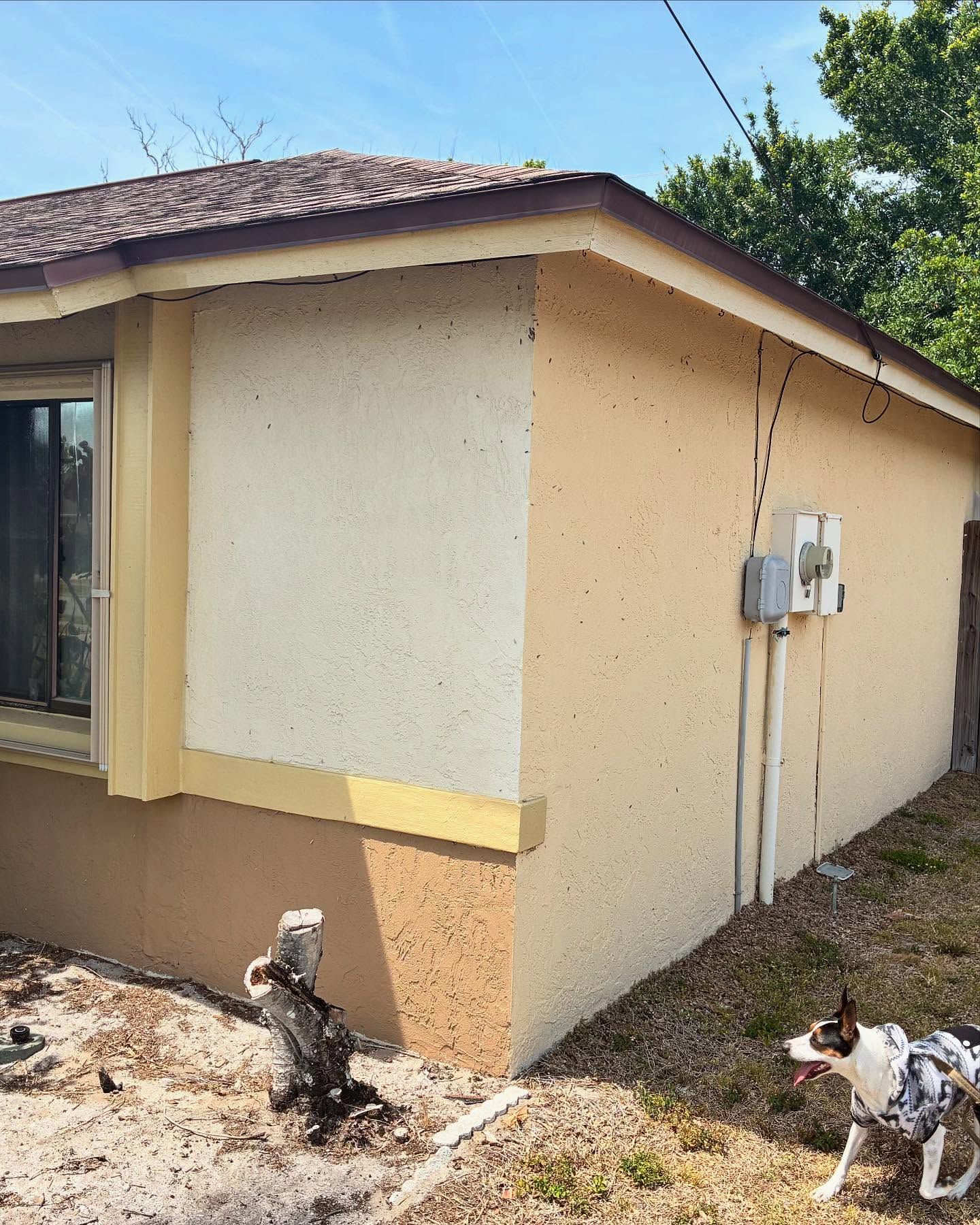 Exterior  for Paps Painting in Brevard county, FL