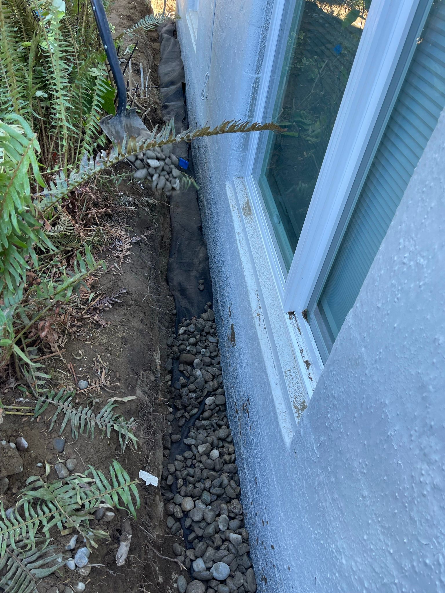  for Tony's Remodeling & Painting in Renton, WA