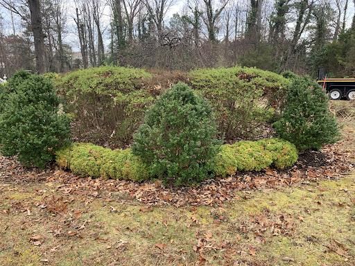  for Atlas Home Services in Mechanicsville, VA