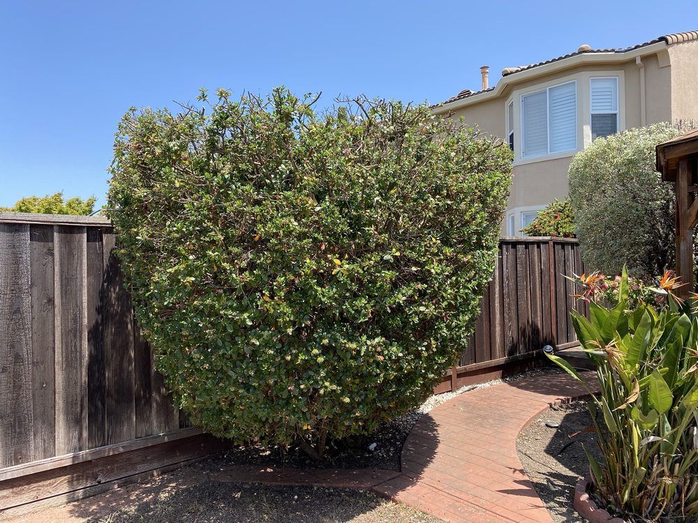  for CBA Landscaping in Hayward, CA
