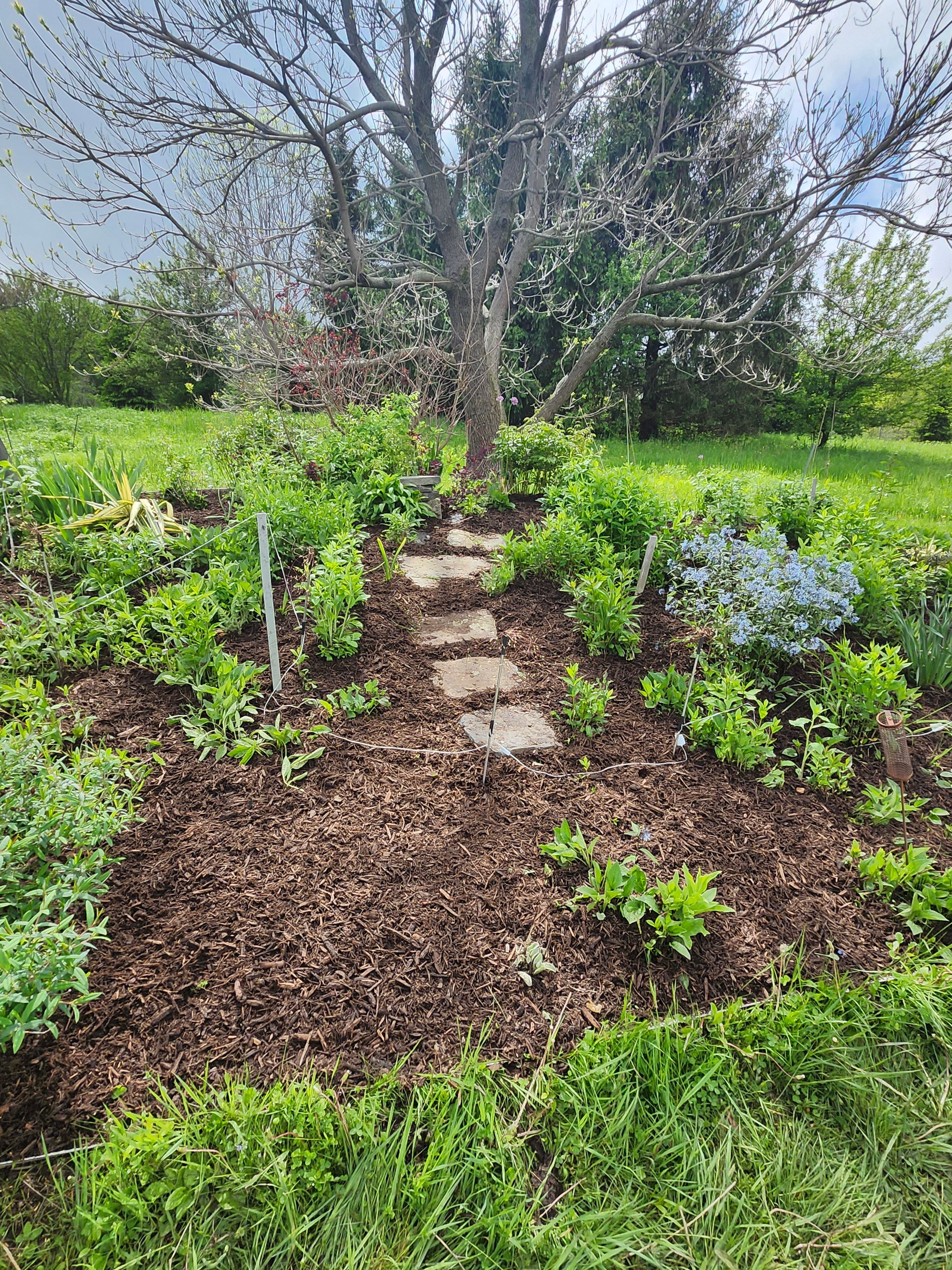 Muclhing & Weeding for Landscape Innovations LLC in Torrington, CT