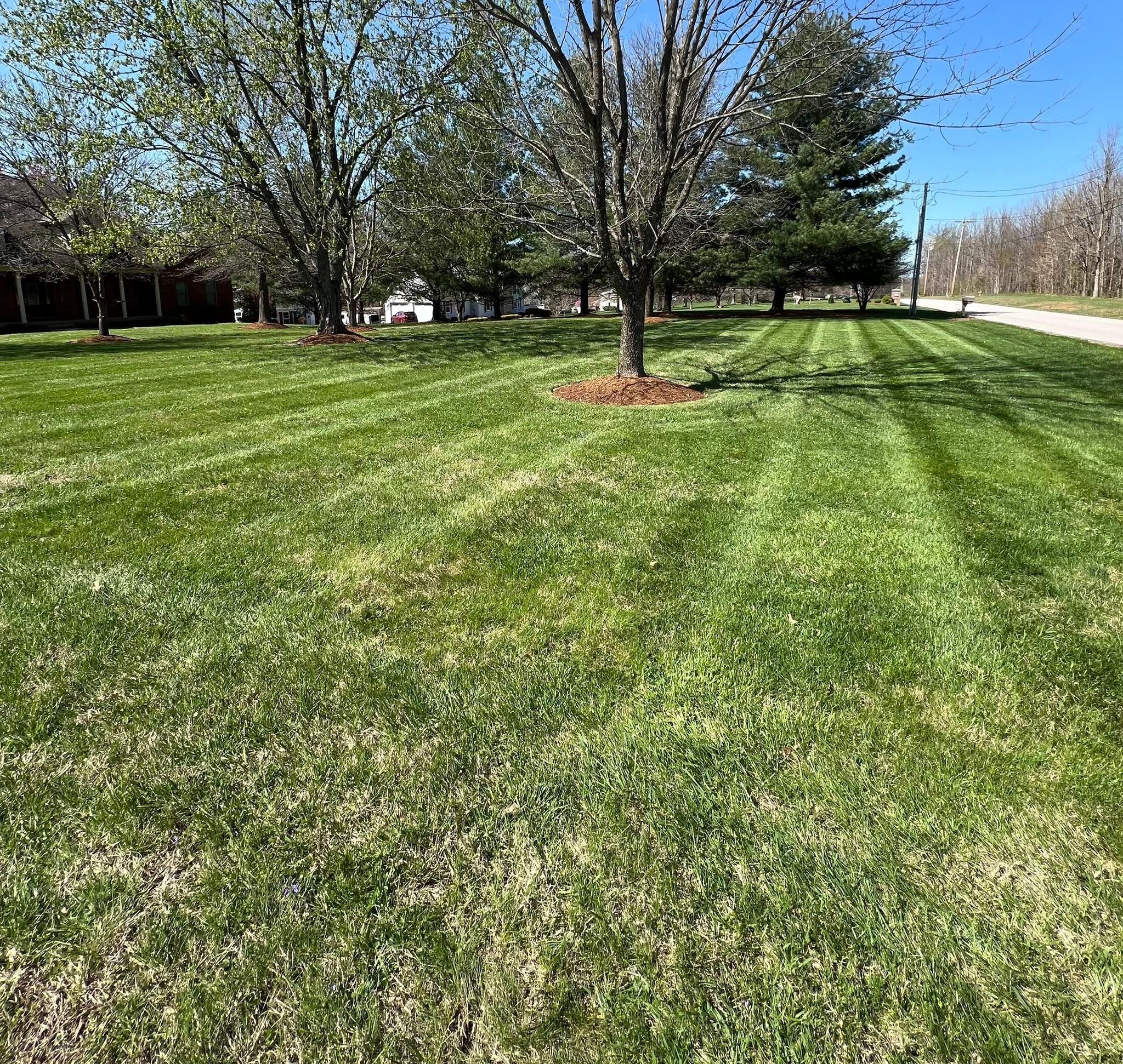  for Full Service Landscaping in Louisville, KY
