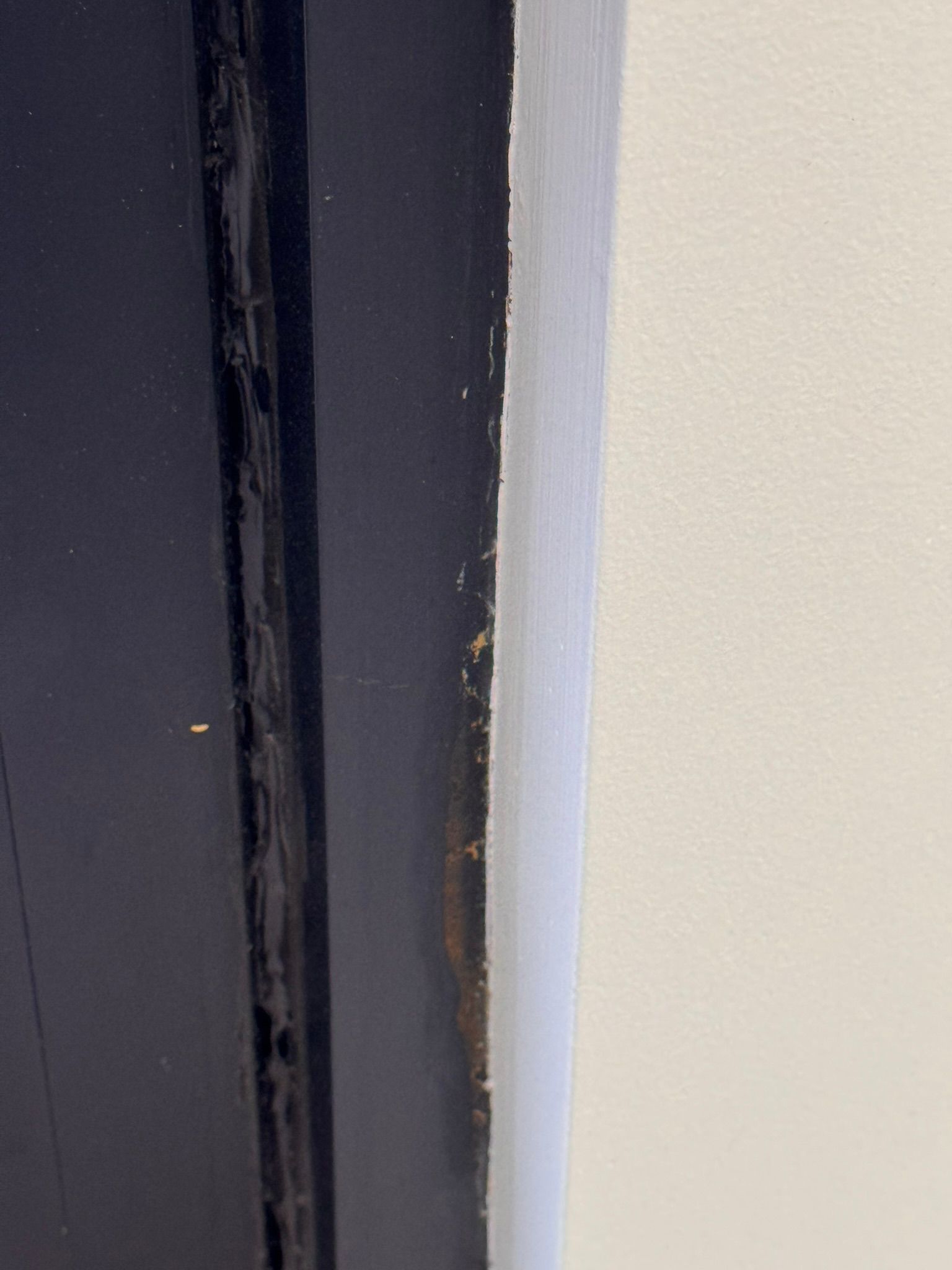  for Tony's Remodeling & Painting in Renton, WA