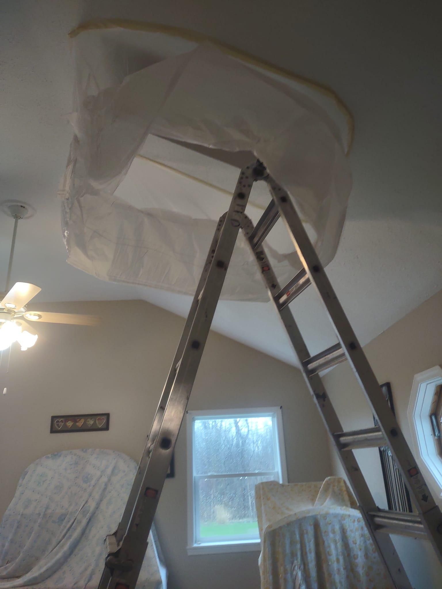  for Painless Painting And Drywall Repair LLC in Rochester, NY