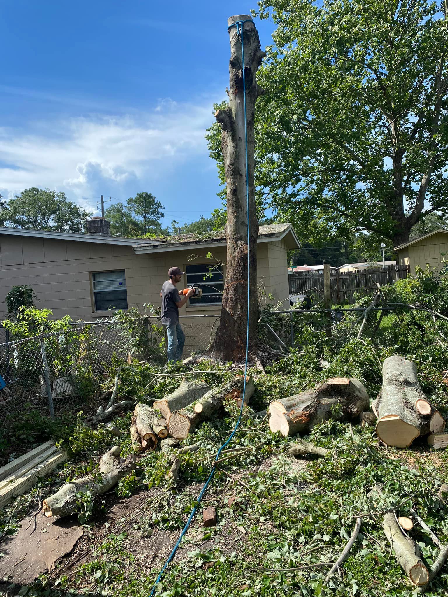  for Fast Cut Tree Service in Jacksonville Heights, FL