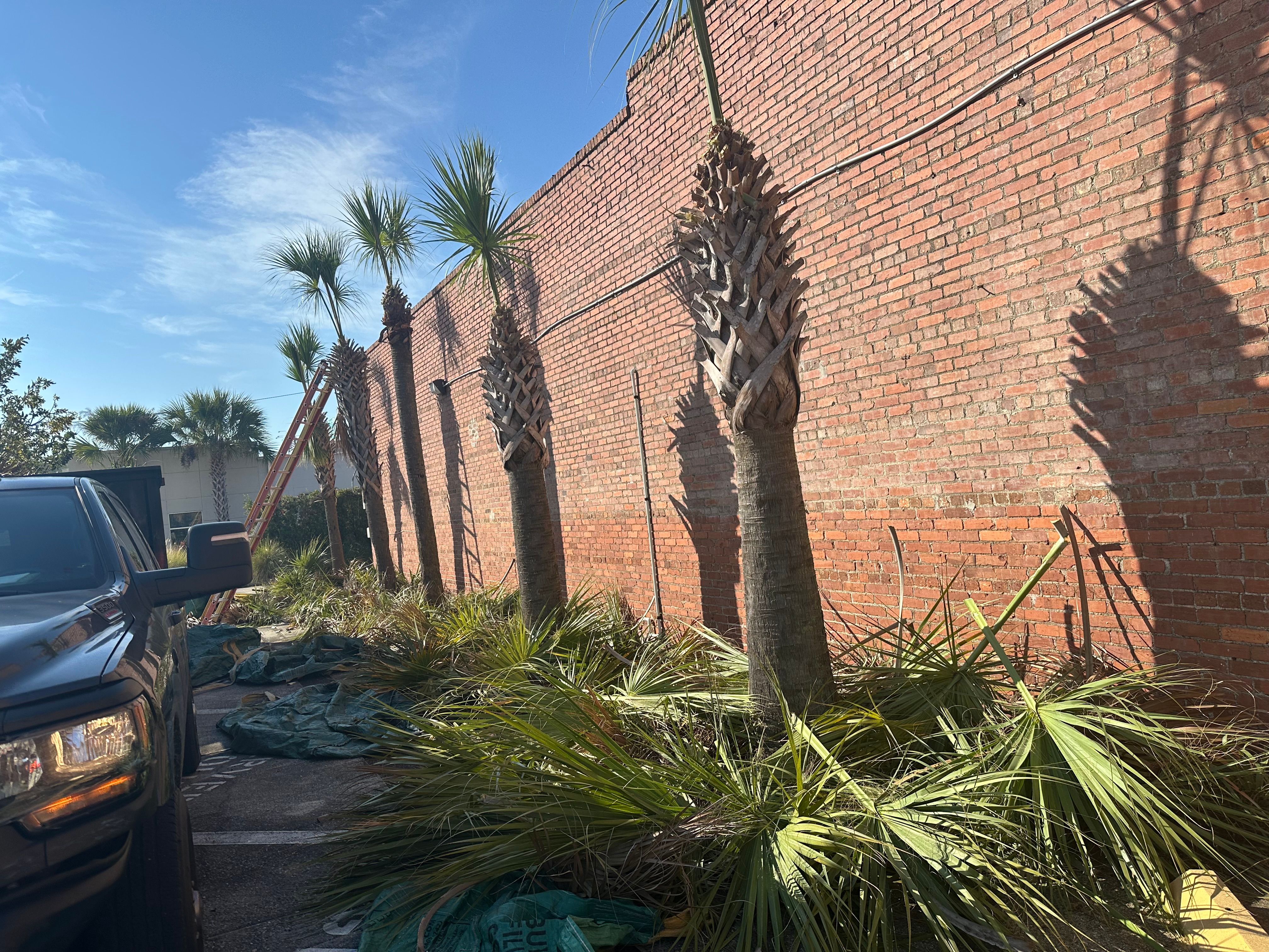 All Photos for All of the Above Landscaping in Orange Park, FL